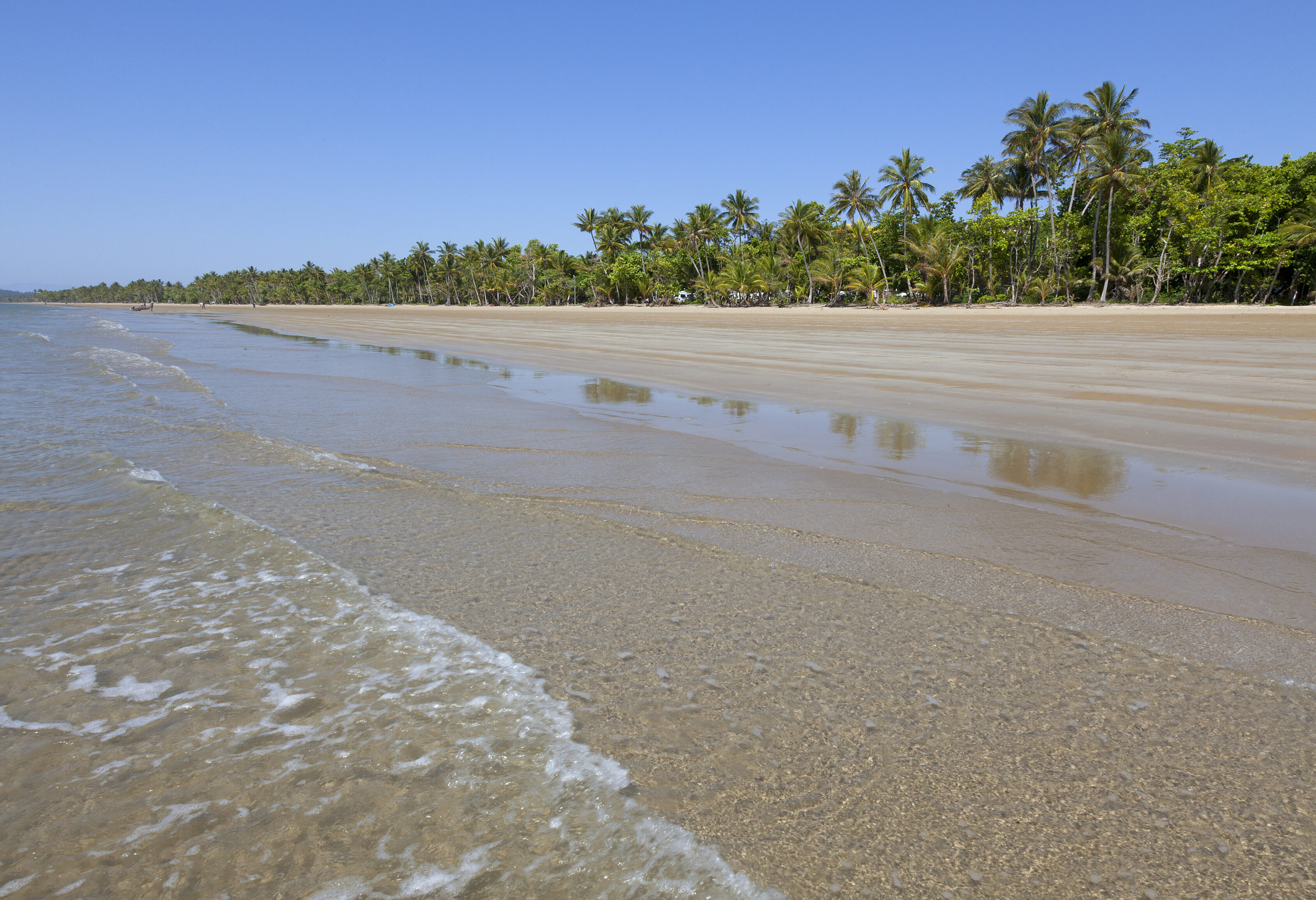 Het strand van Mission Beach in Australie