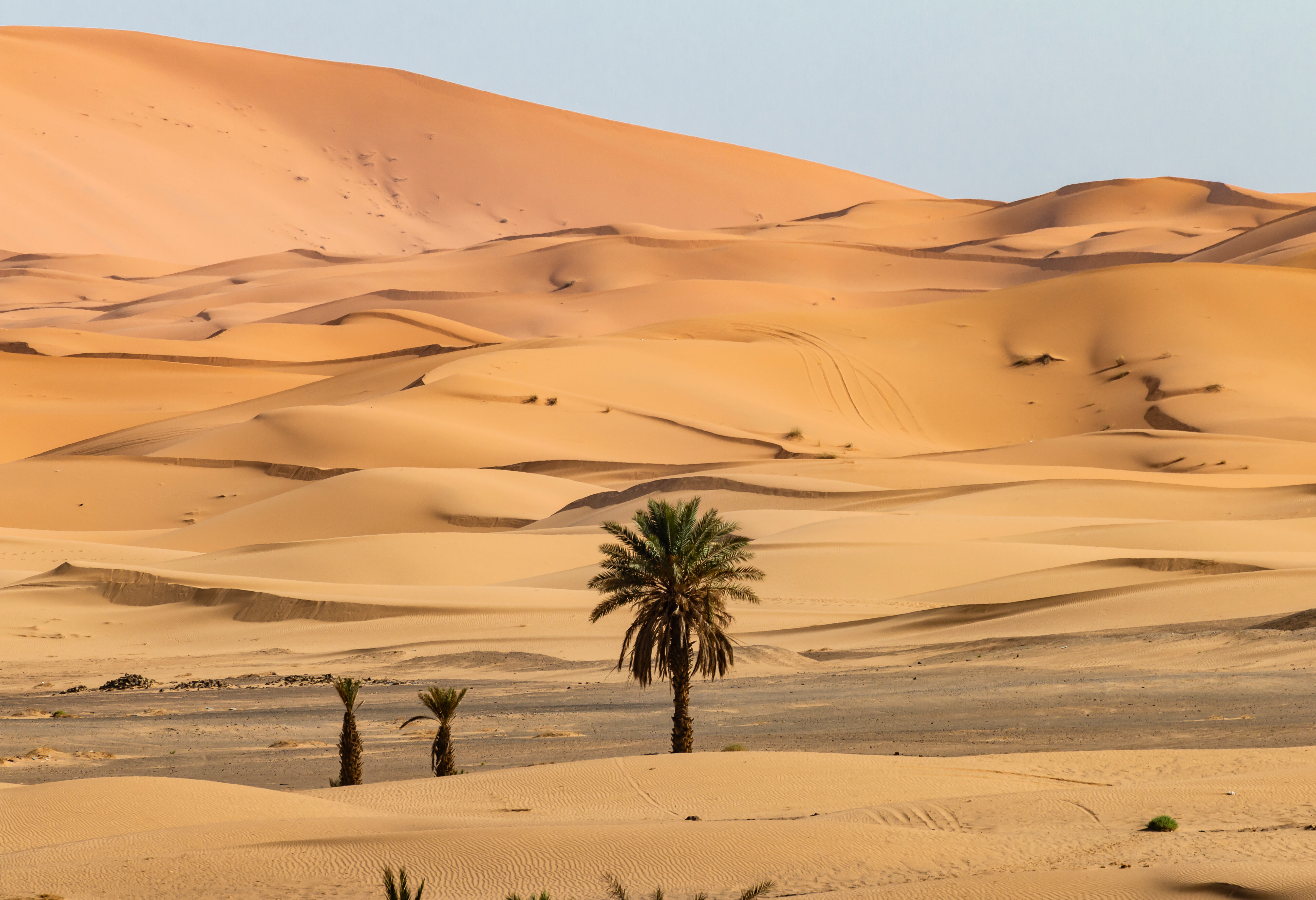 Marokko Sahara Woestijn