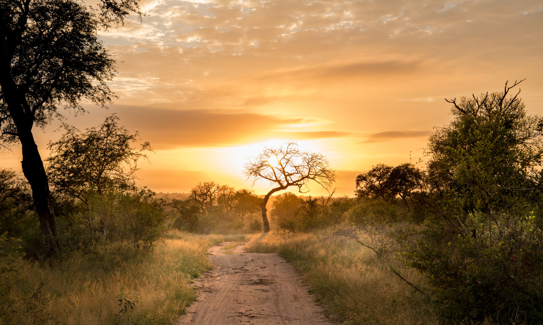 Singita Ebony Lodge