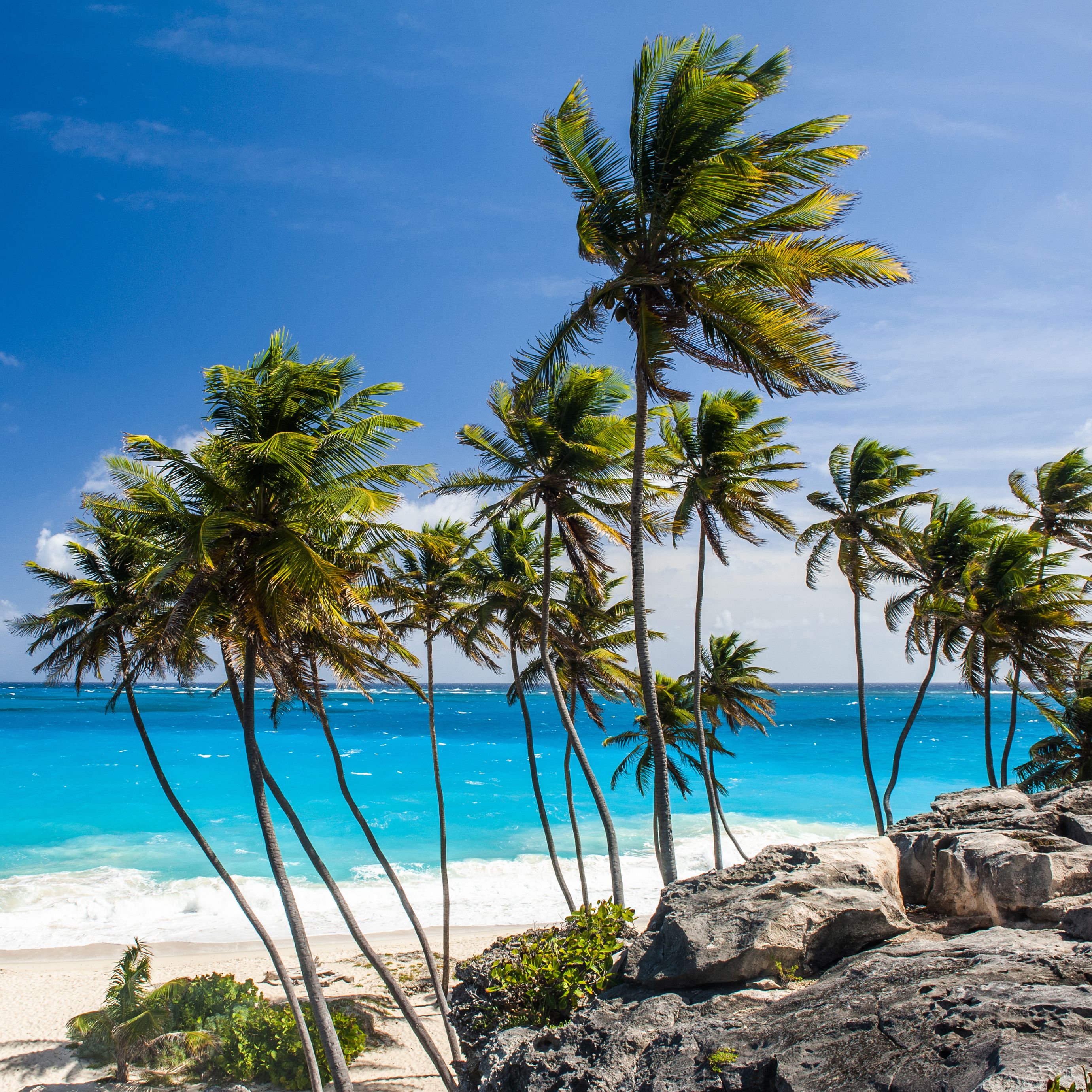Barbados