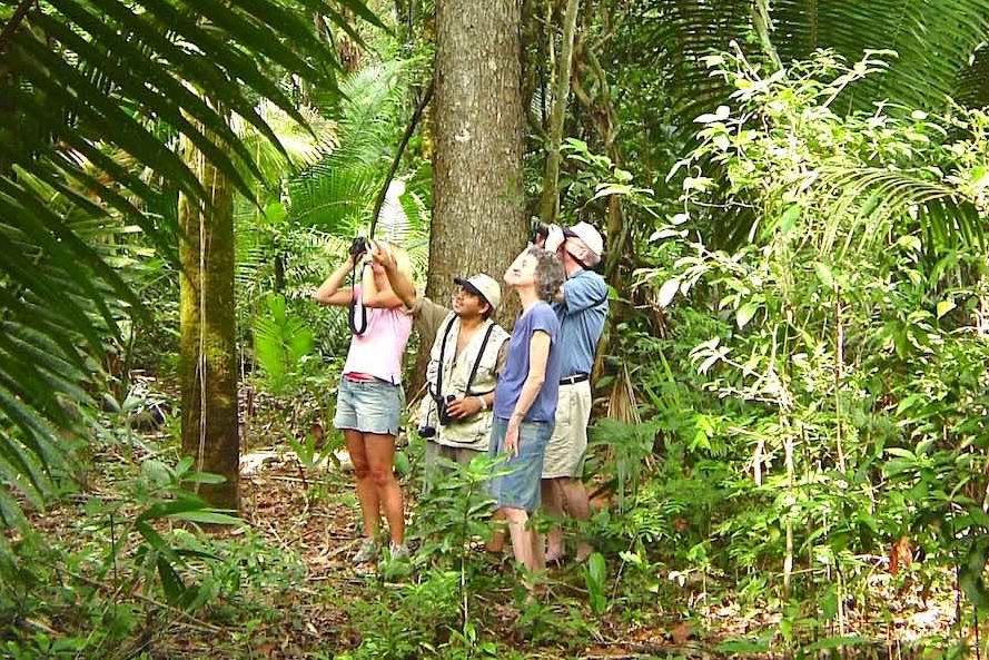 Belize Lamanai Outpost Lodge Jungle Trail Wandeling