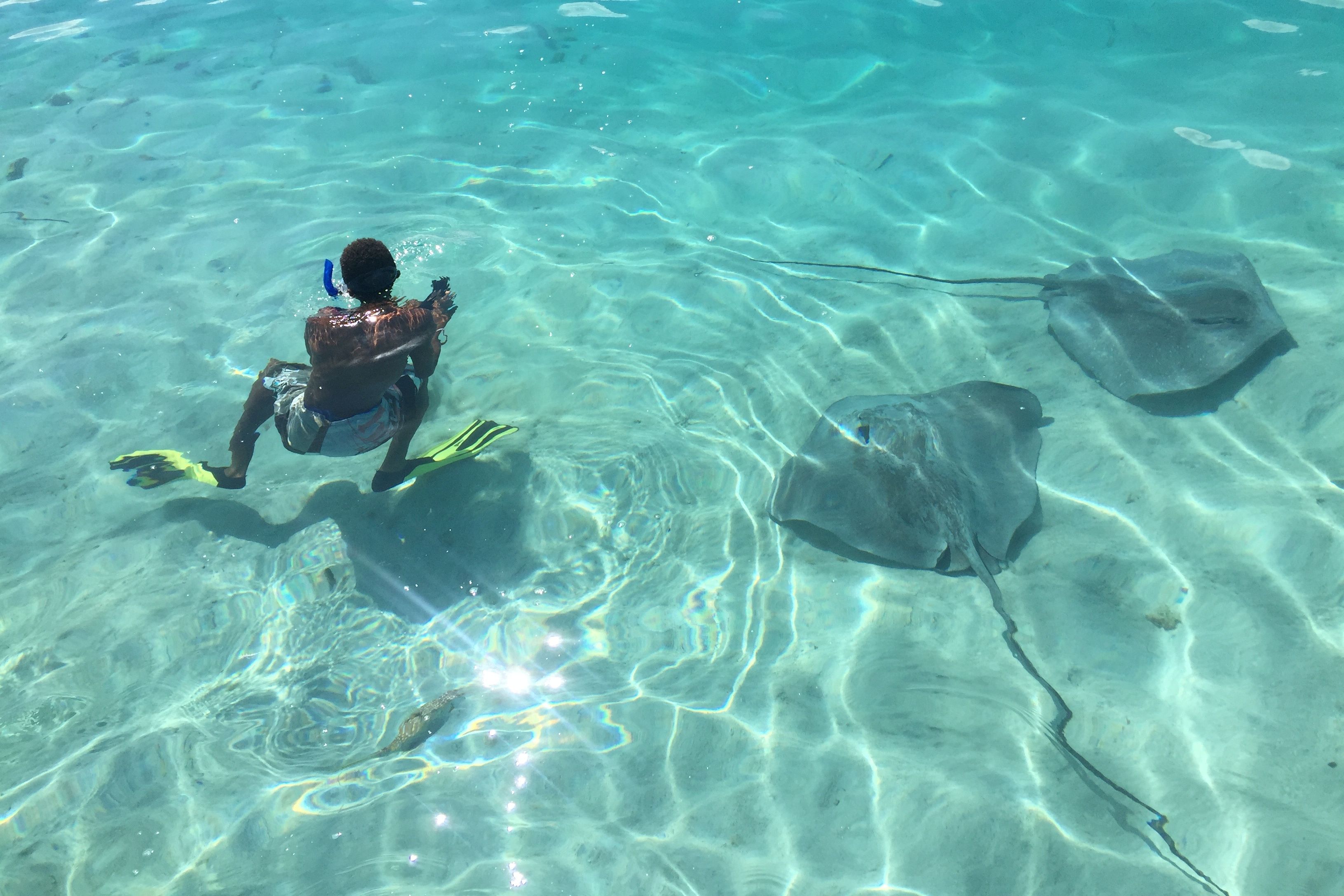 Frans-Polynesie Tahiti by Boat Pijlstaartroggen