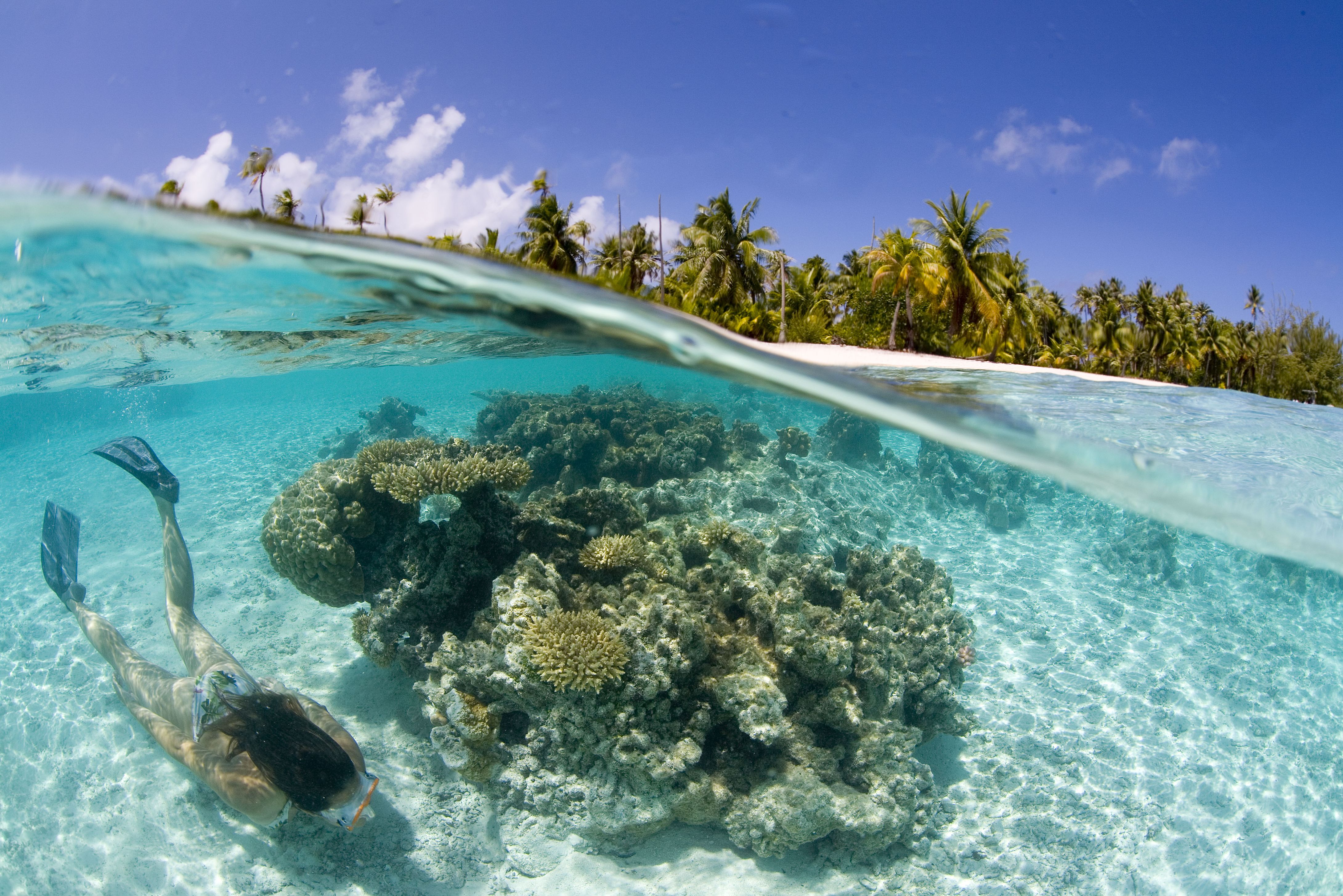 Frans-Polynesie Bora Bora Combi Tour 4WD en Snorkelsafari Onderwaterwereld
