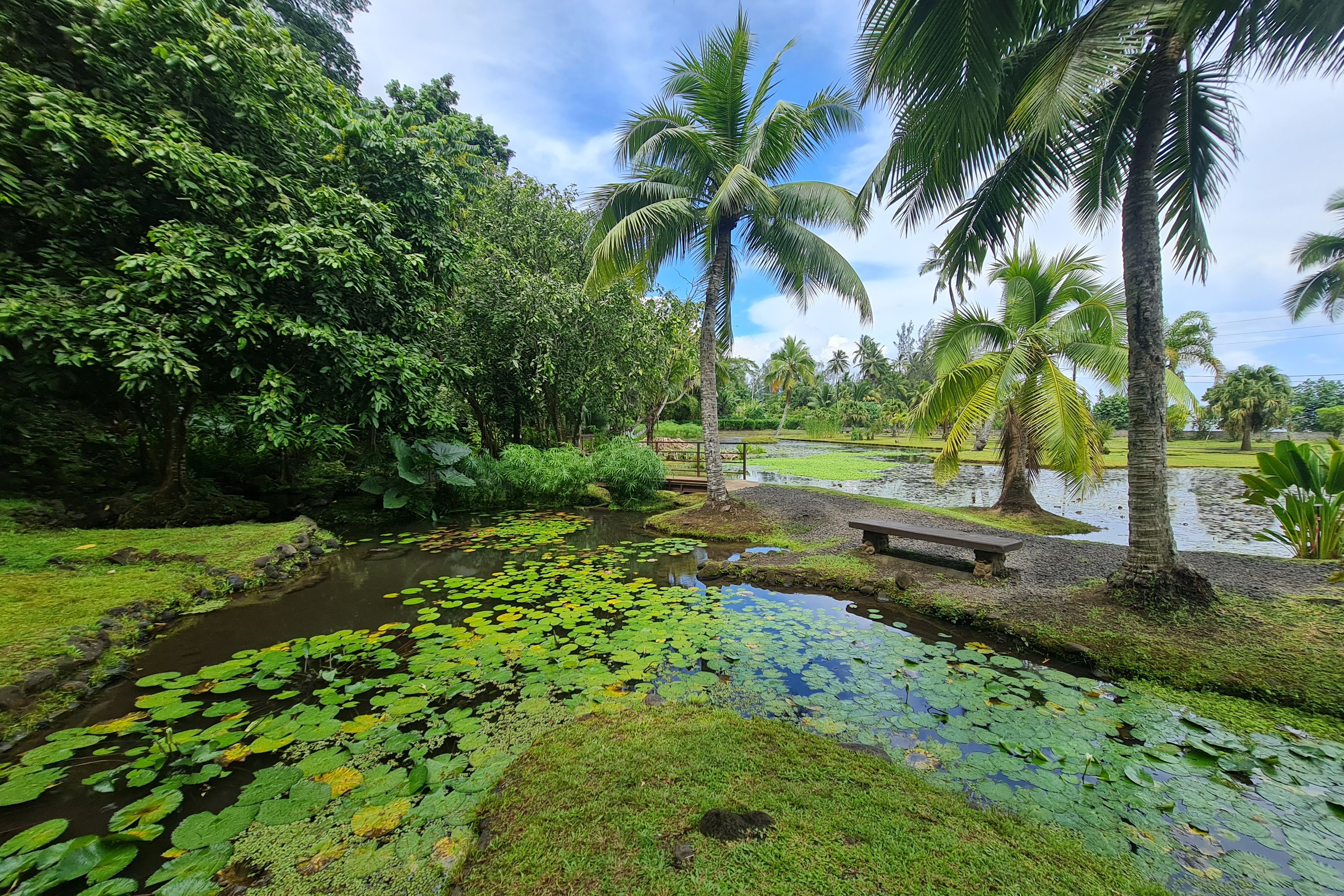 Frans-Polynesie Tahiti Our Agency Circle Tour Viapahi Garden