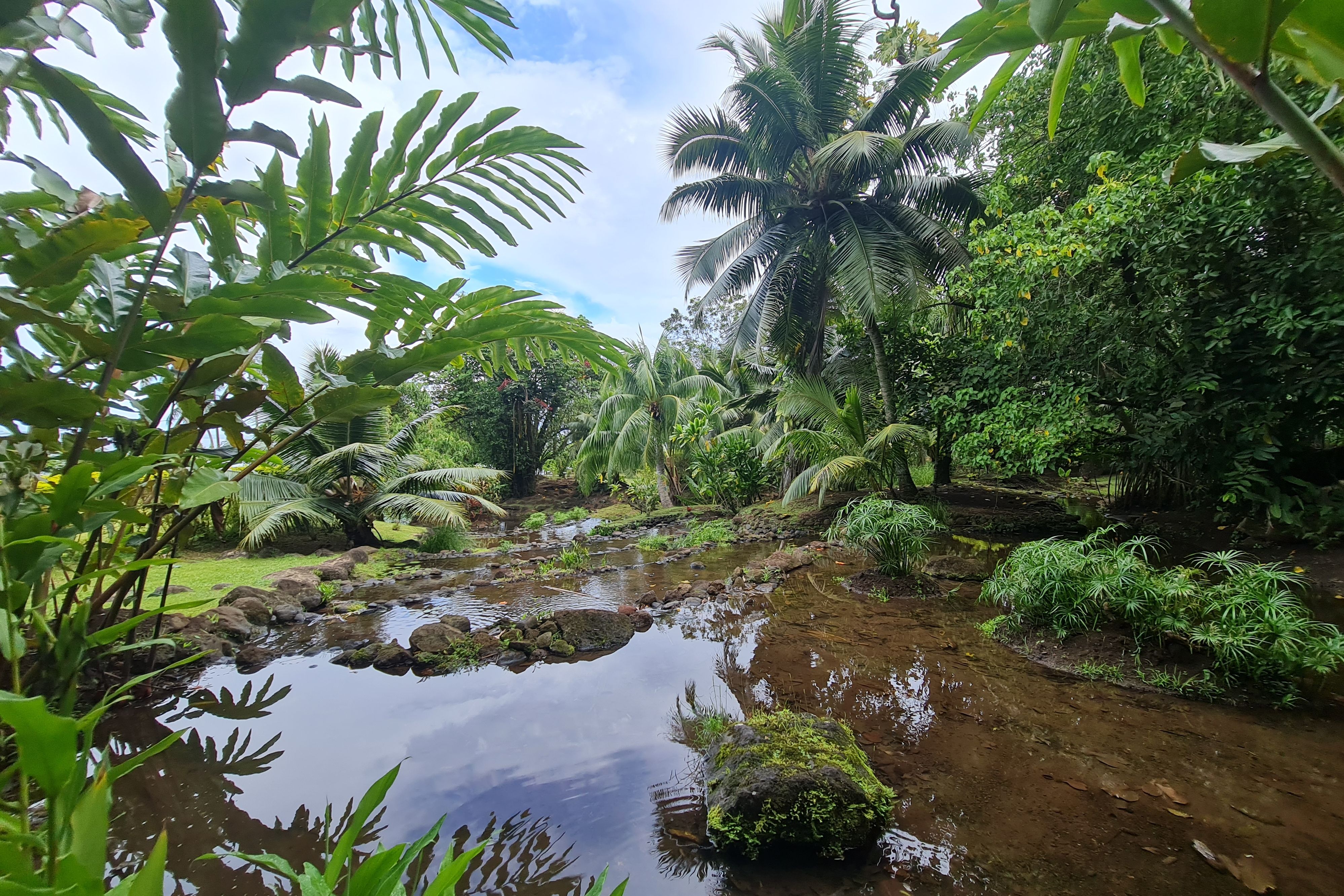 Frans-Polynesie Tahiti Our Agency Circle Tour Vaipahi Garden