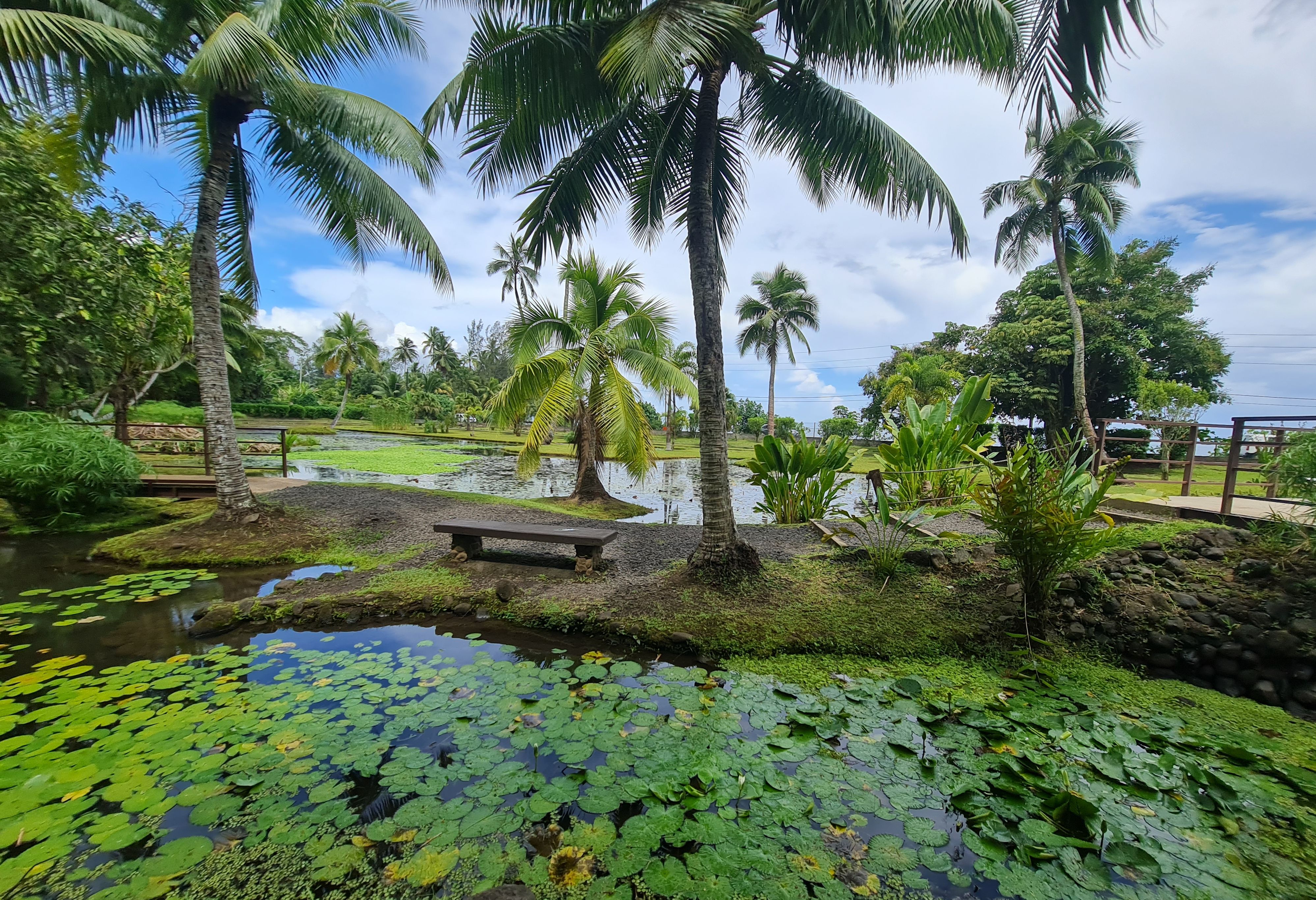 Vaipahi Water Garden op Tahiti in Frans-Polynesie