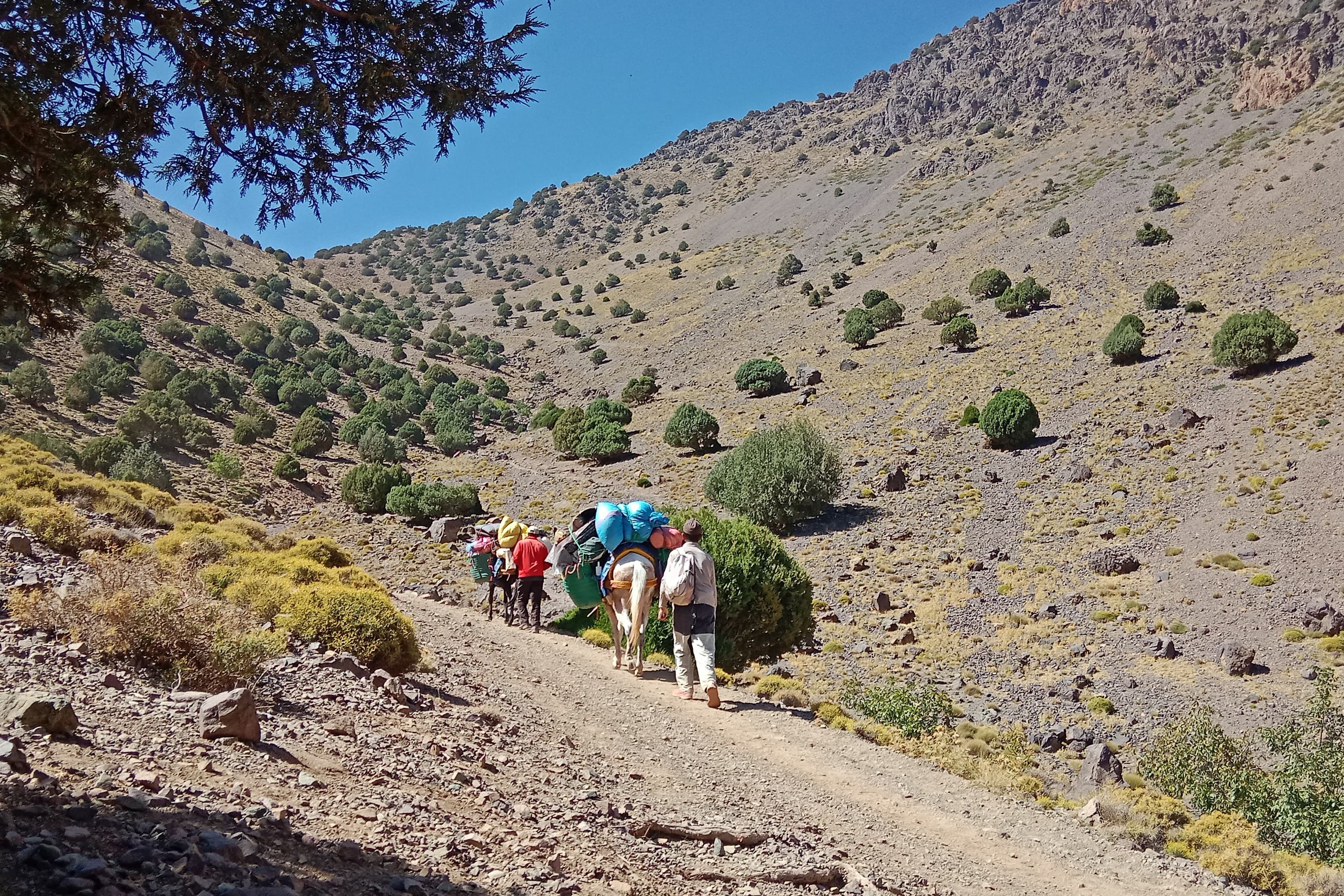 Ontmoet de lokale bevoling