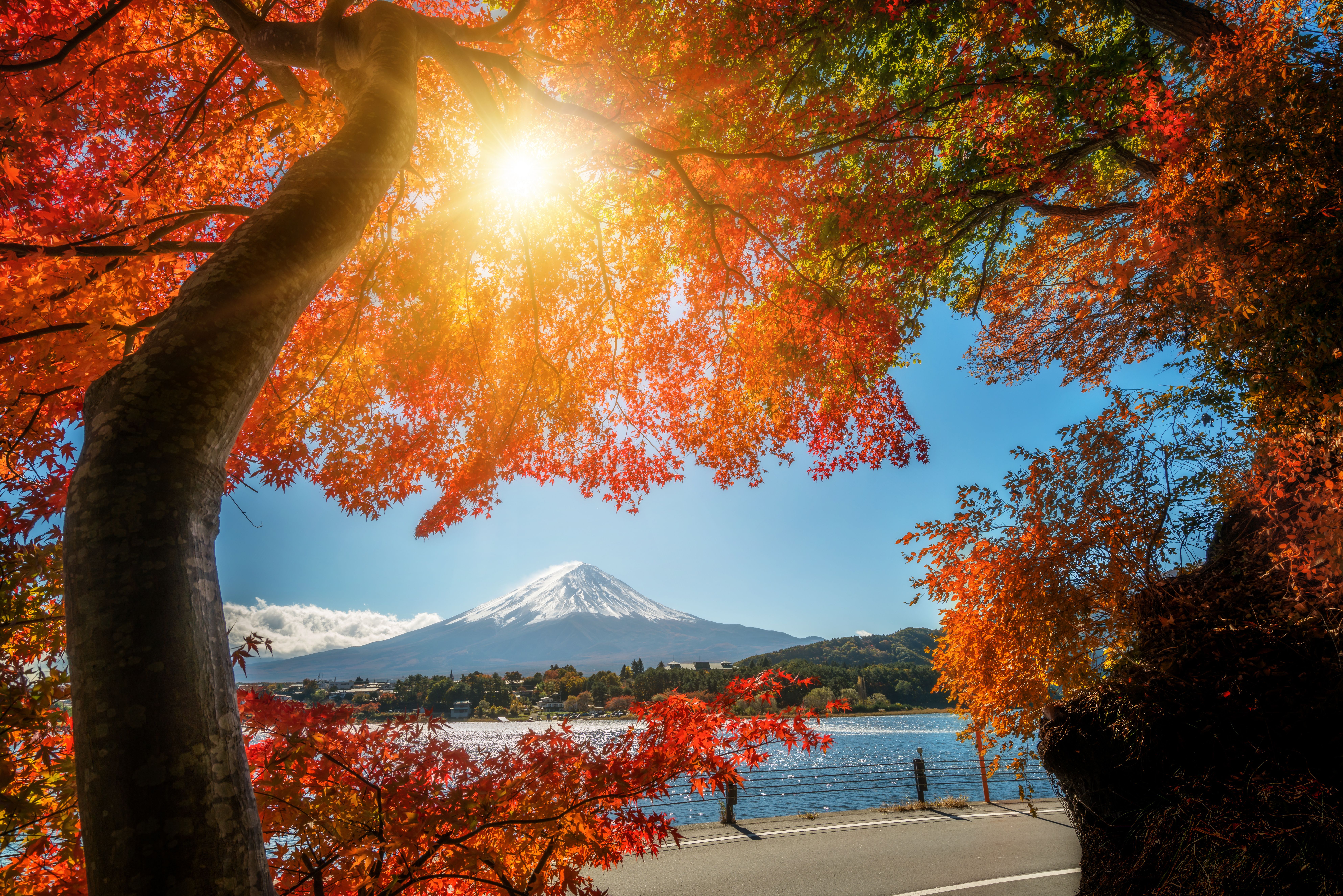 Japan-Mount-Fuji-Herfst-Kleuren-Bomen
