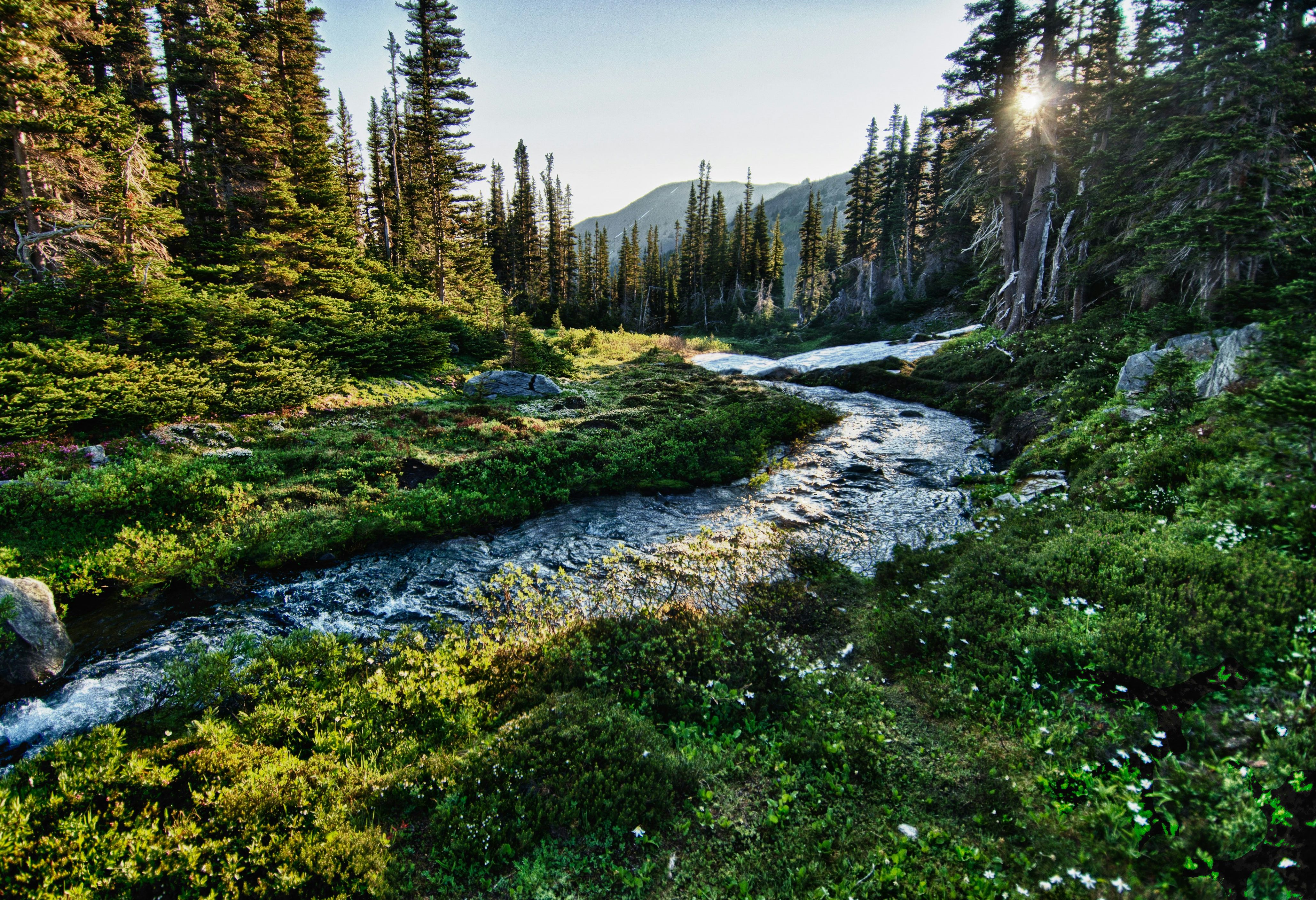 Amerika Washington State Olympic National Park