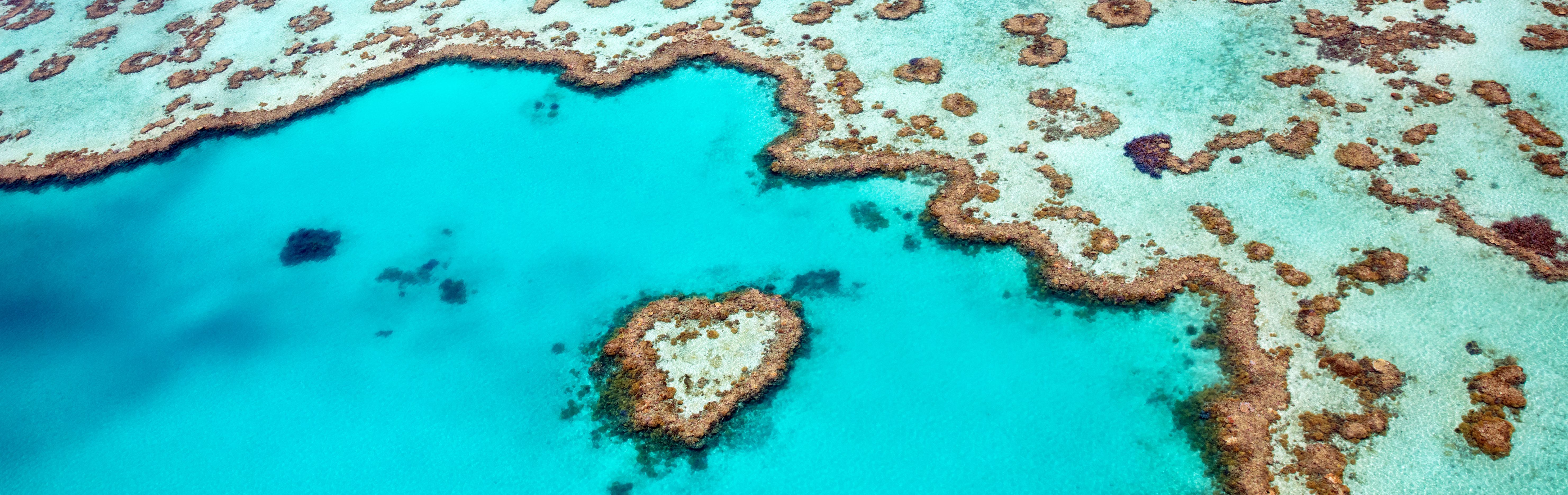 Great Barrier Reef Australie