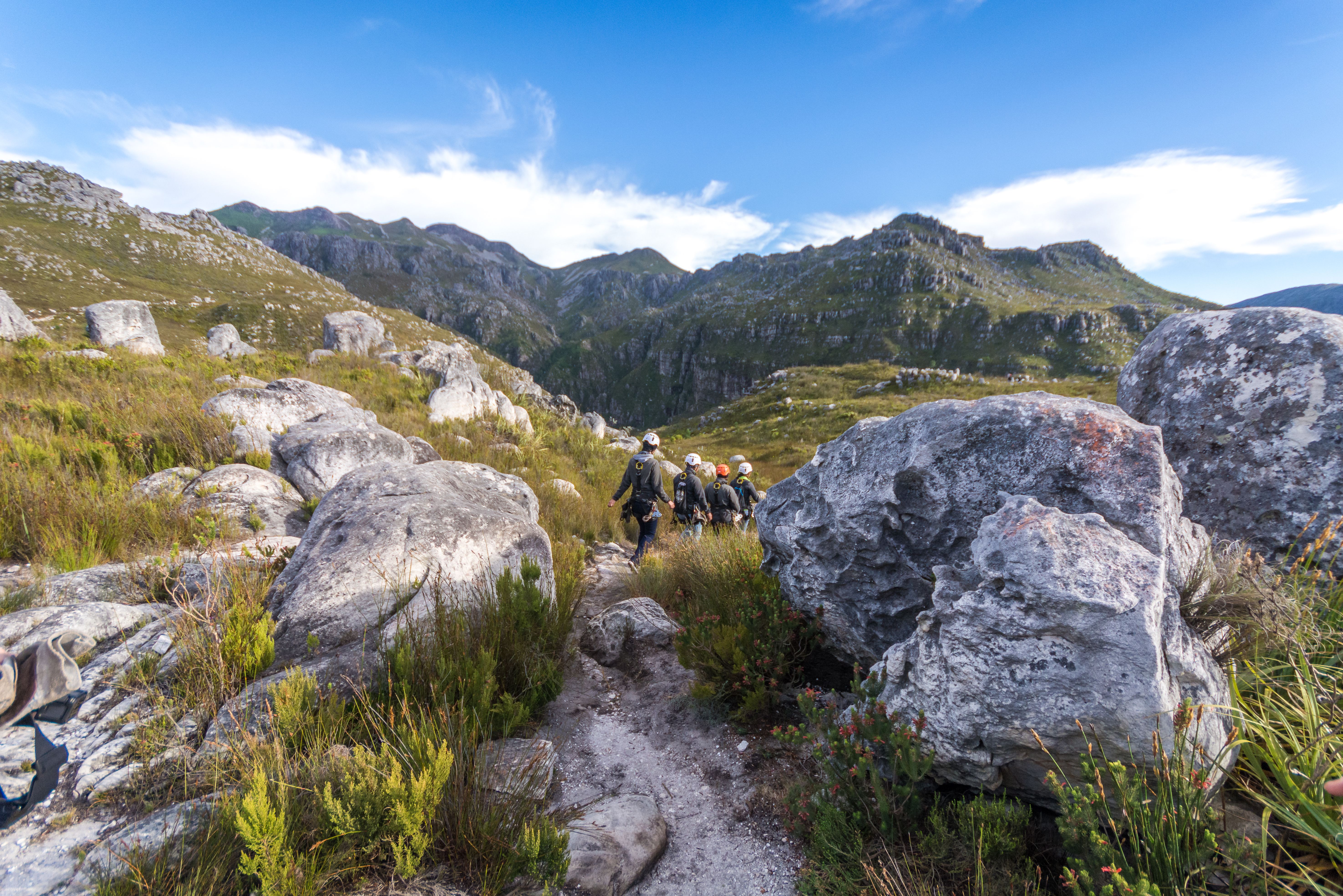 Zuid-Afrika Cape Canopy Tour Hiken