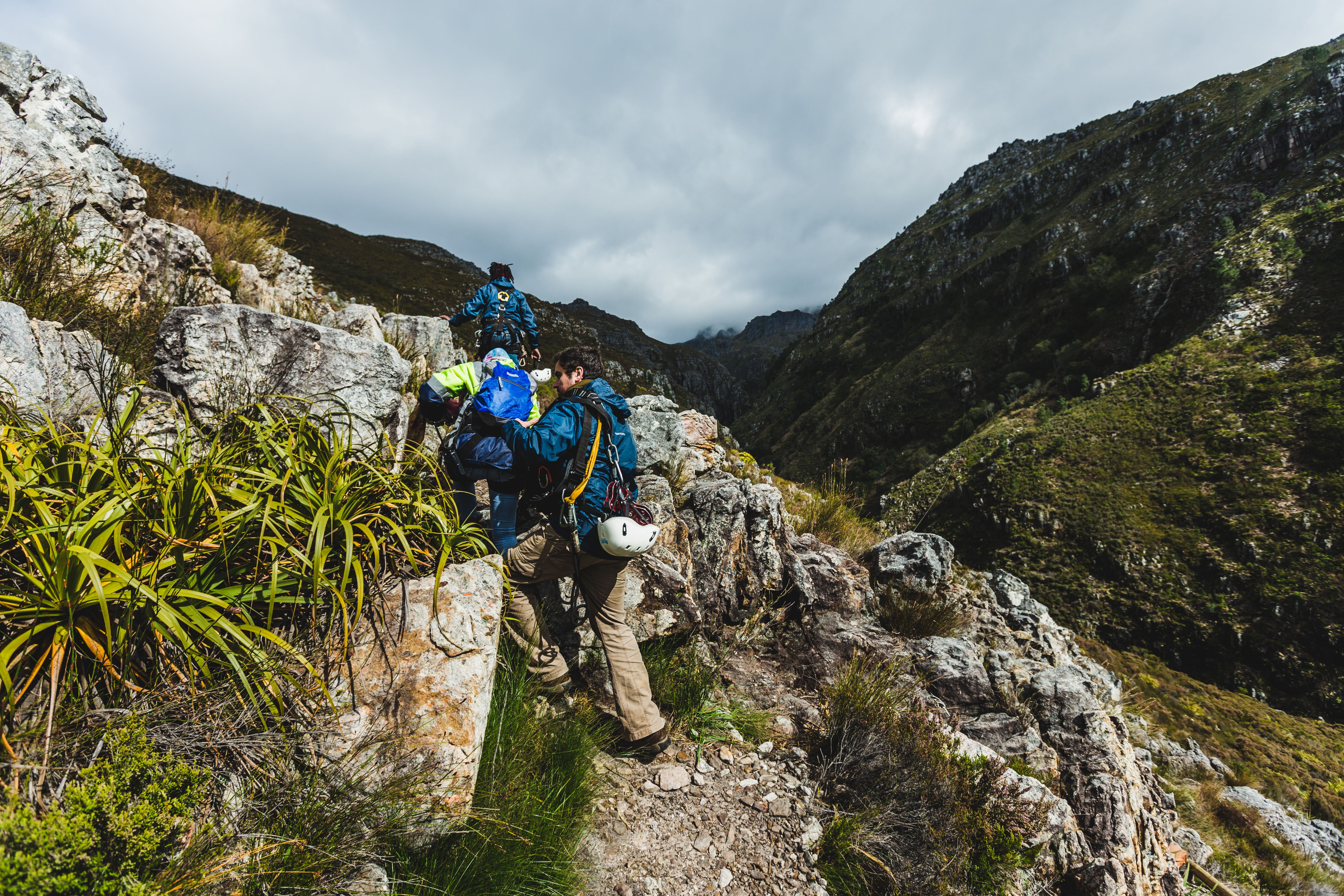 Zuid-Afrika Cape Canopy Tour Hiken
