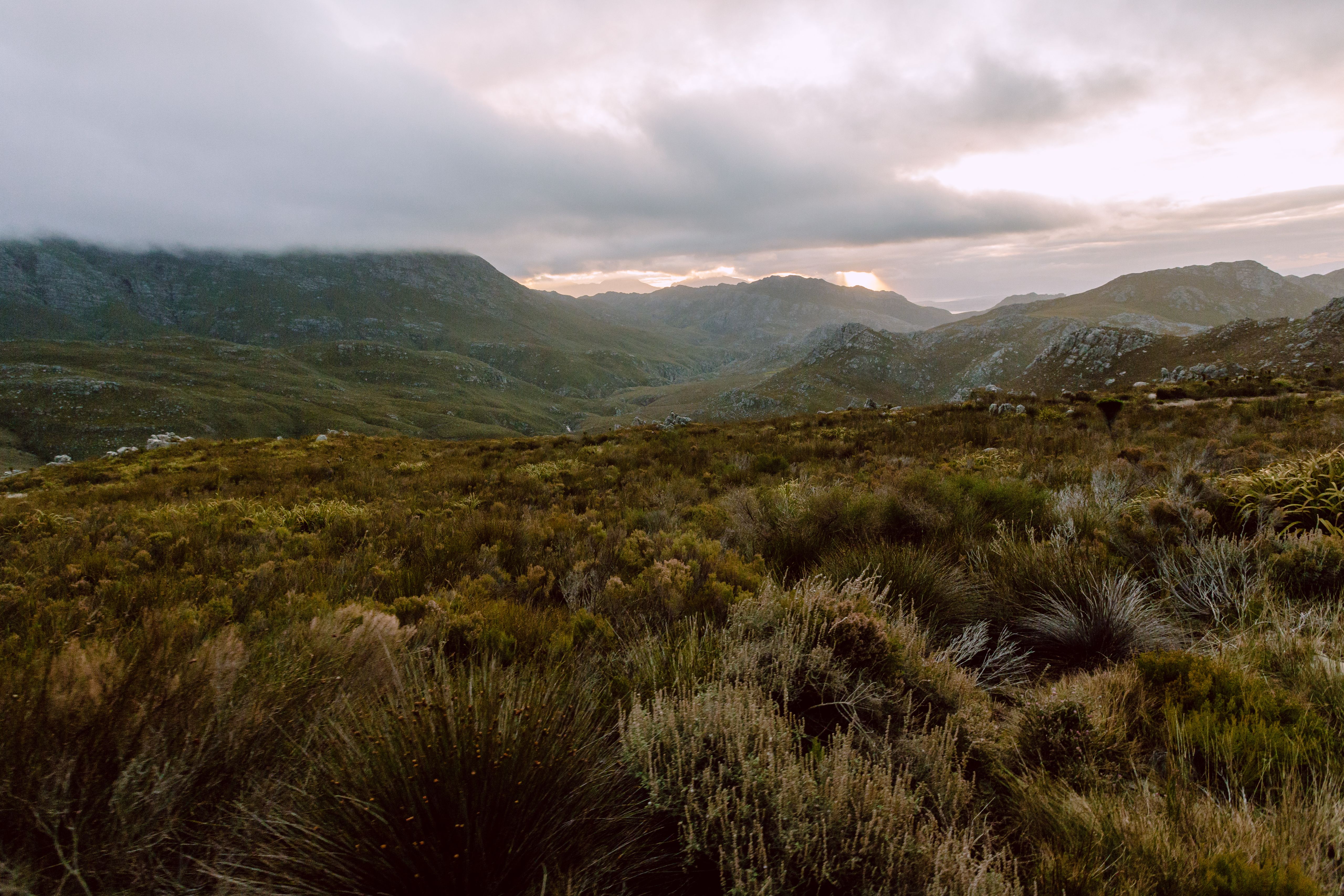 Zuid-Afrika Cape Canopy Tour Landschap