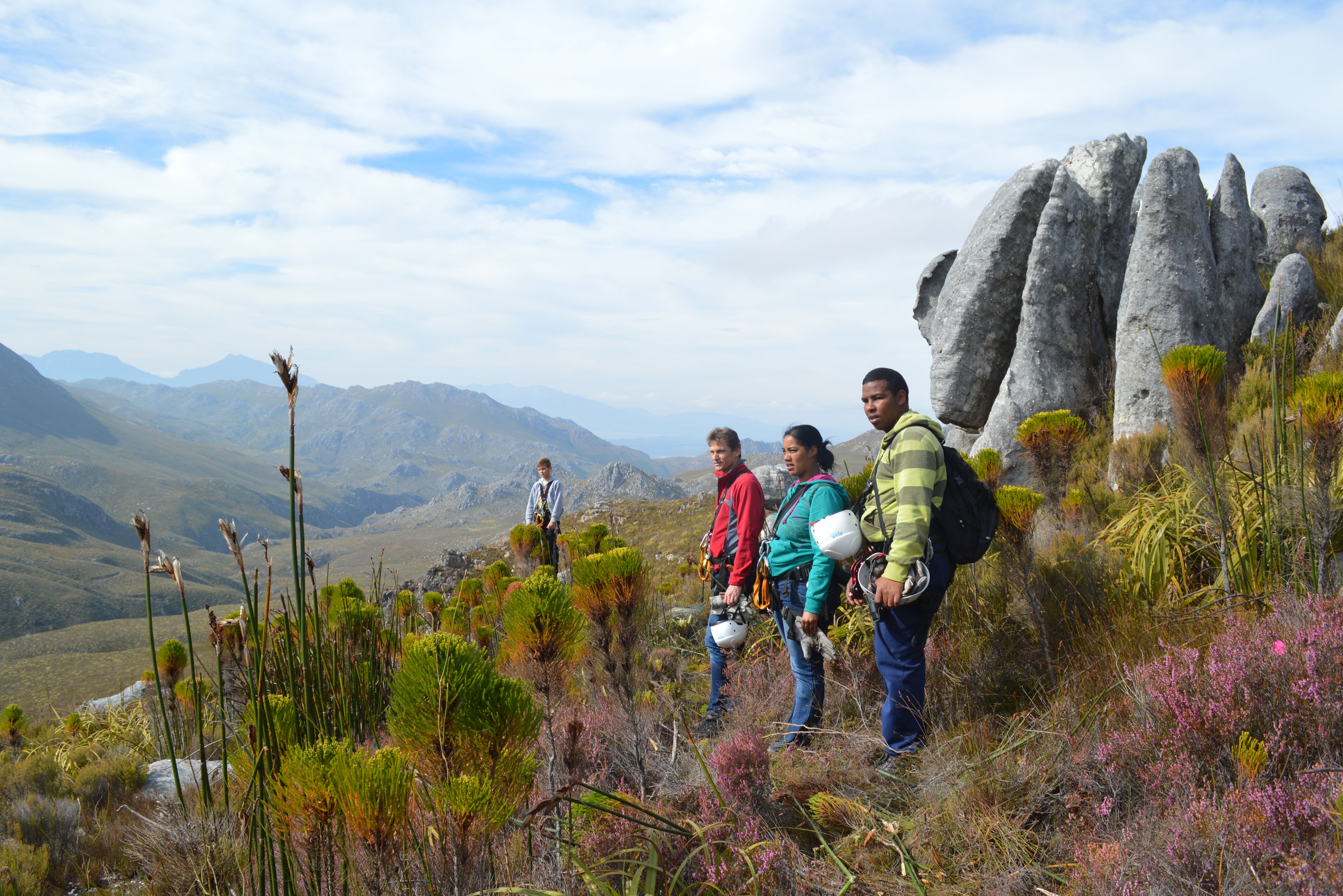 Zuid-Afrika Cape Canopy Tour Omgeving