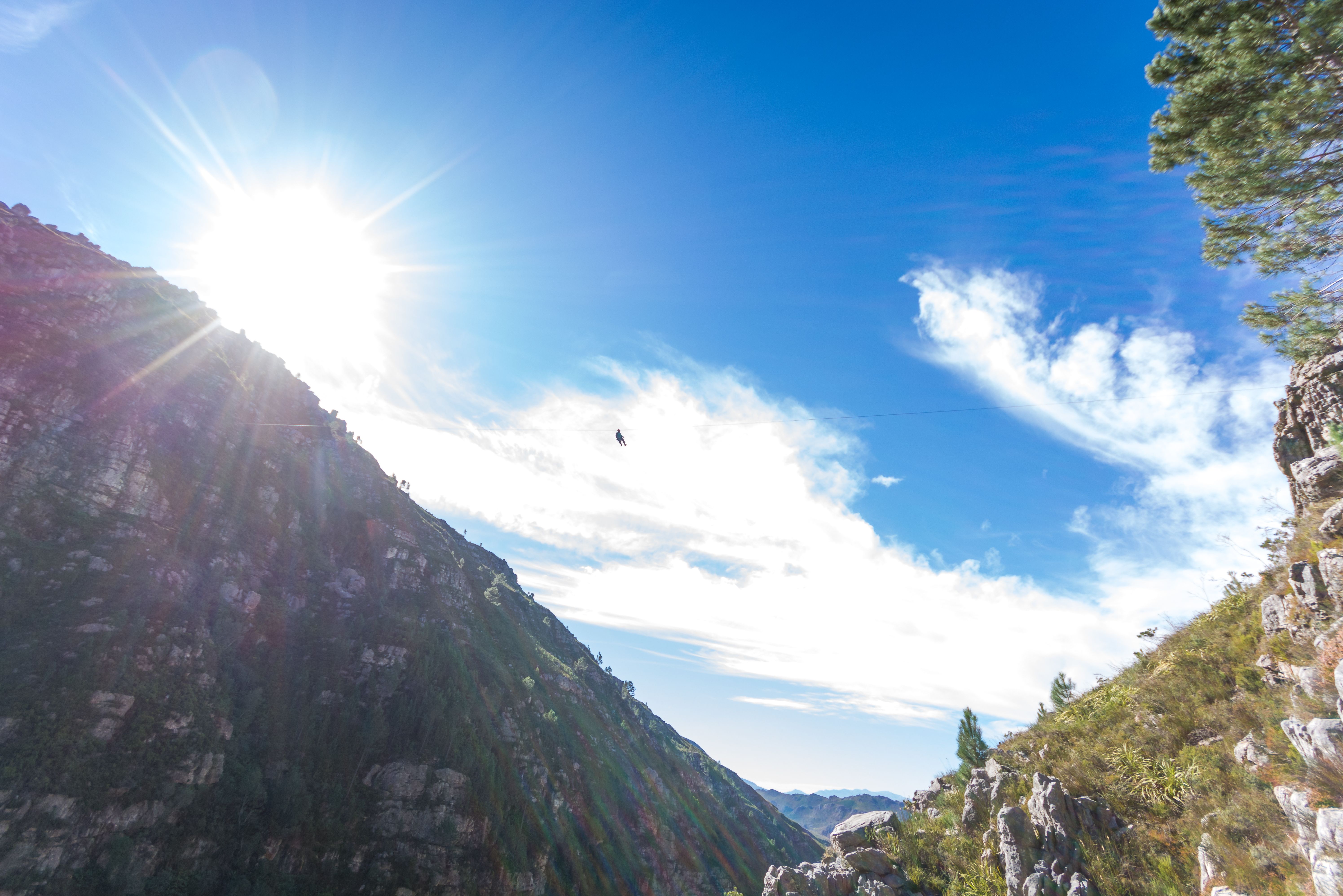 Zuid-Afrika Cape Canopy Tour Zipline