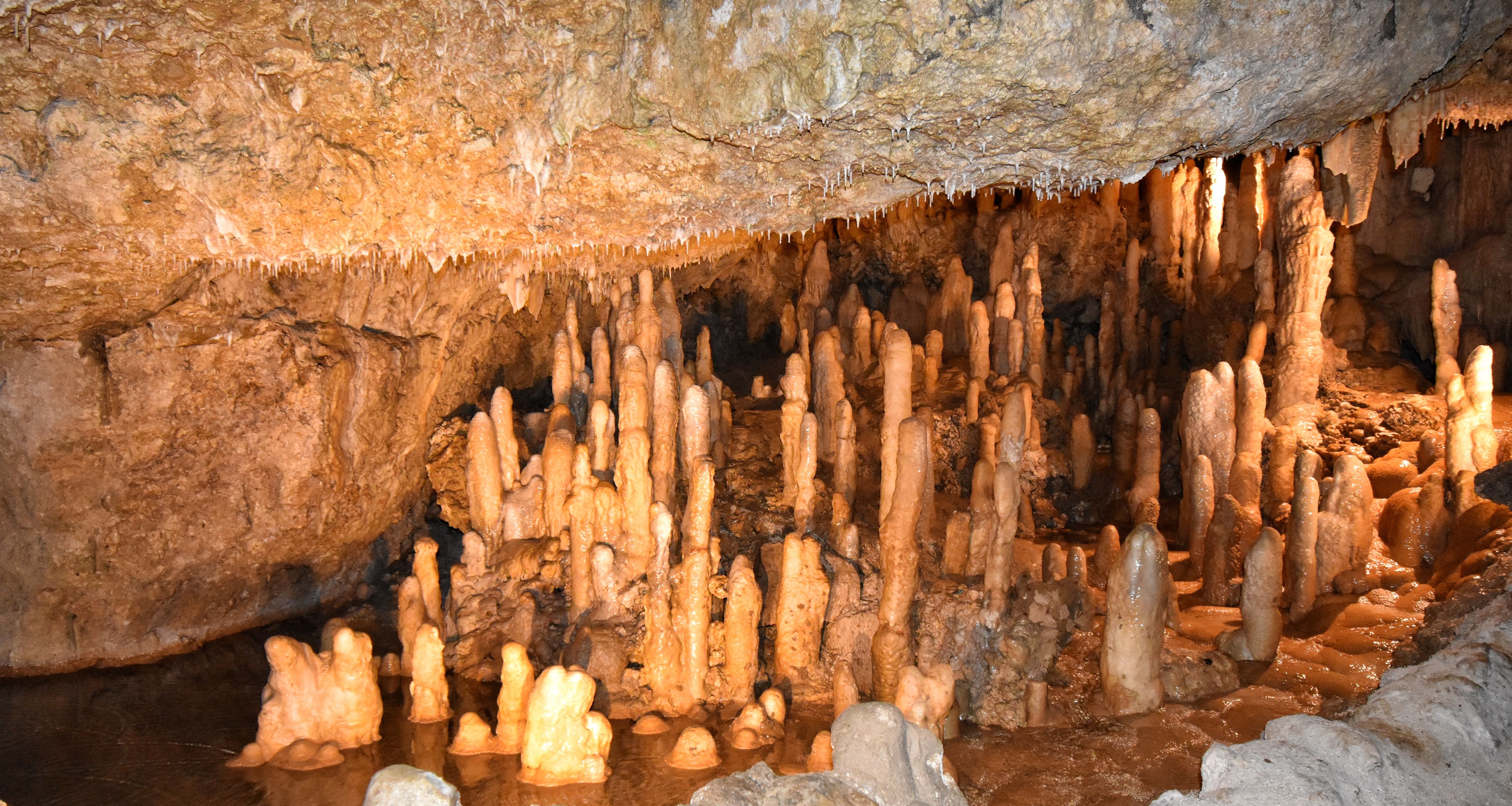 Barbados-Harrisons-Cave