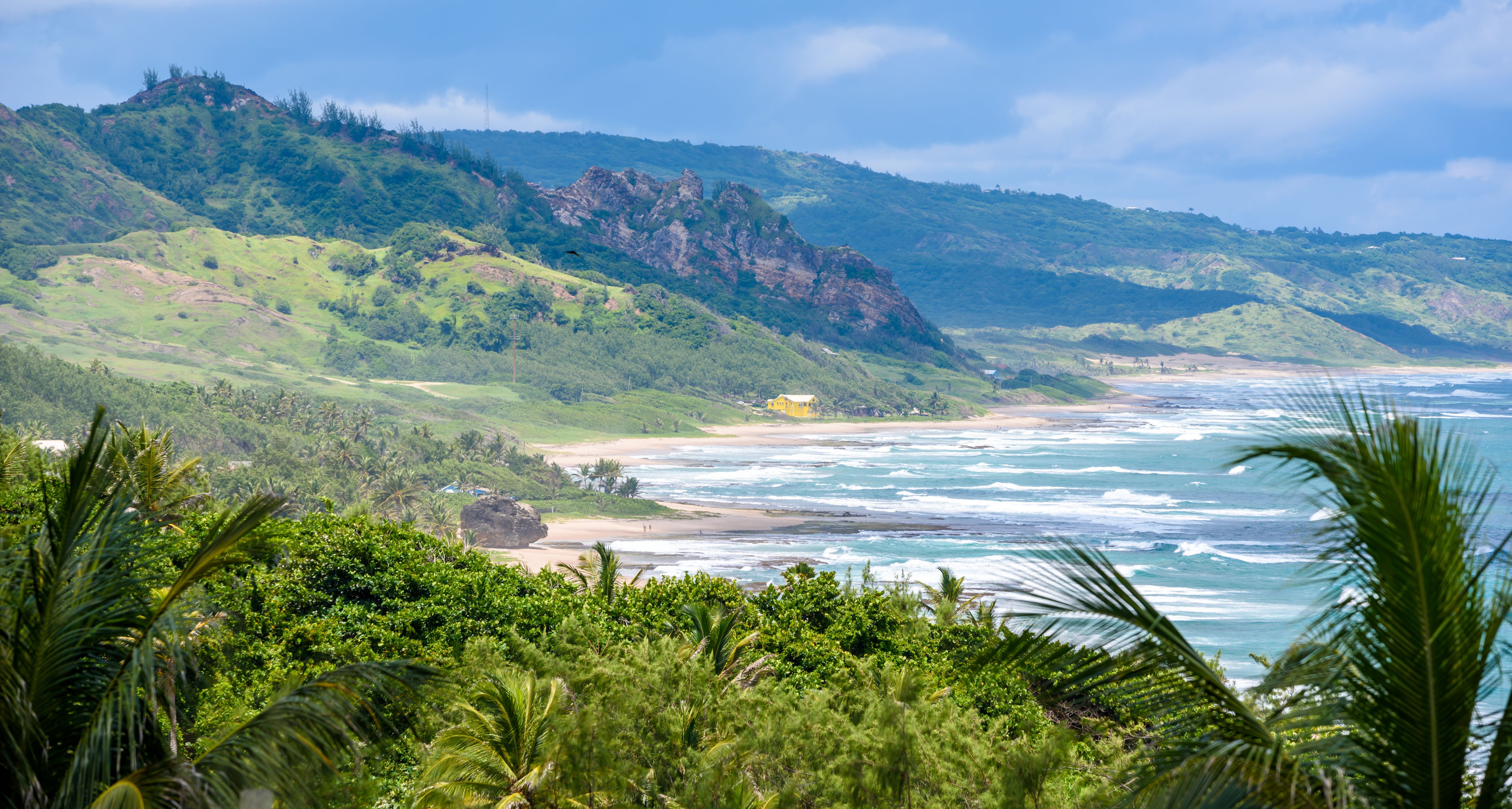 Barbados-Bathsheba-Beach-Rots