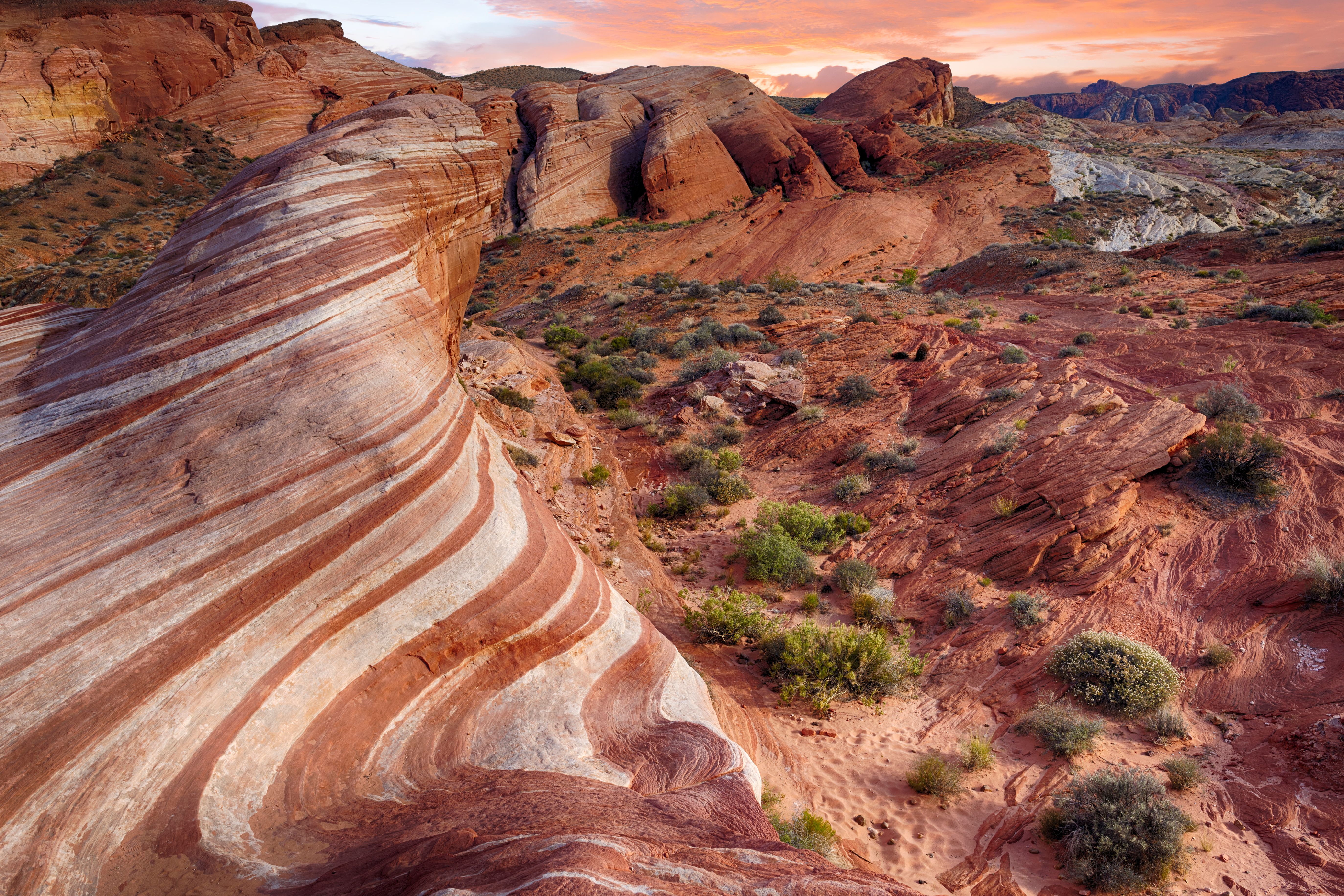 Amerika Nevada Fire Wave Rocks