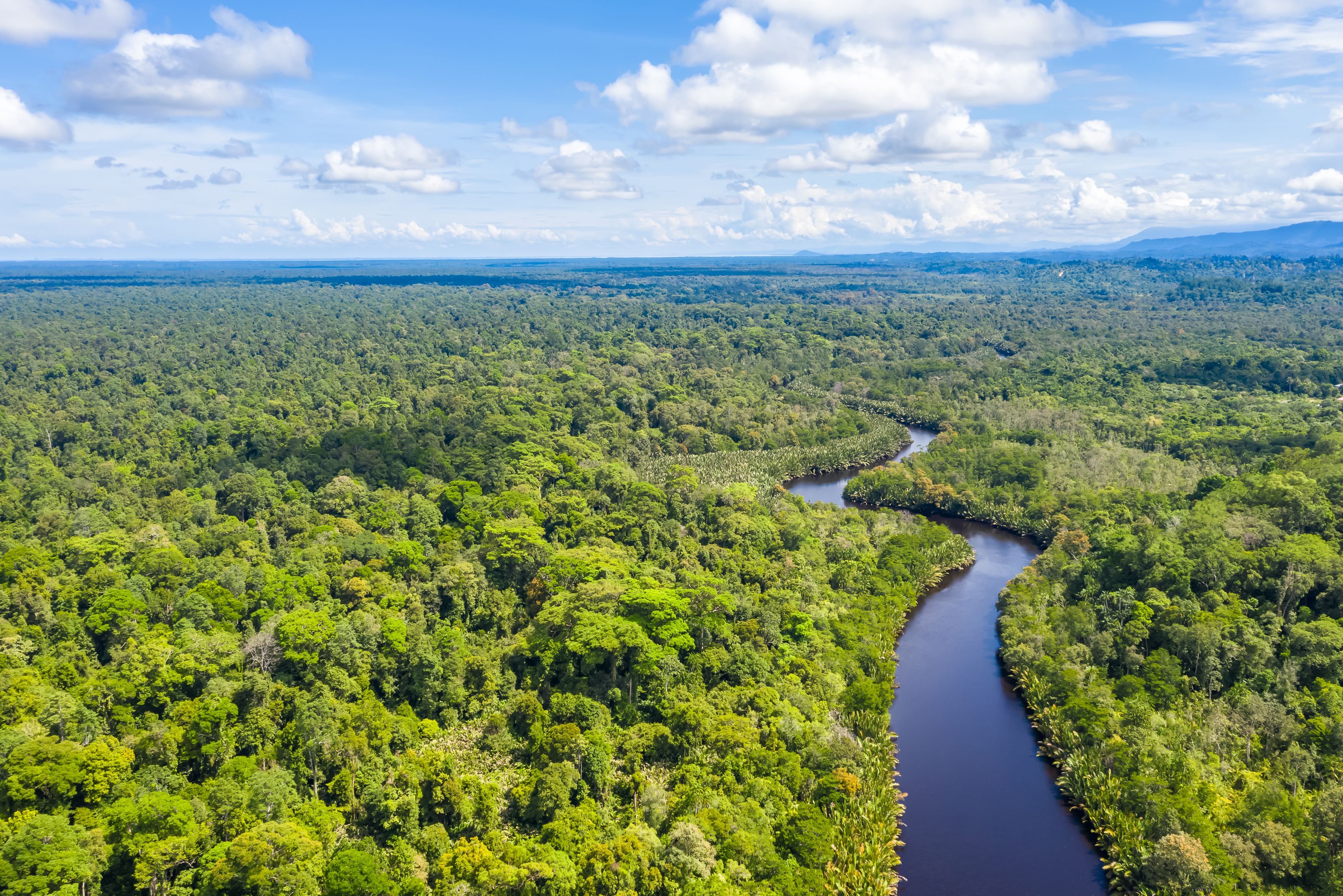 KInabatangan rivier Sabah