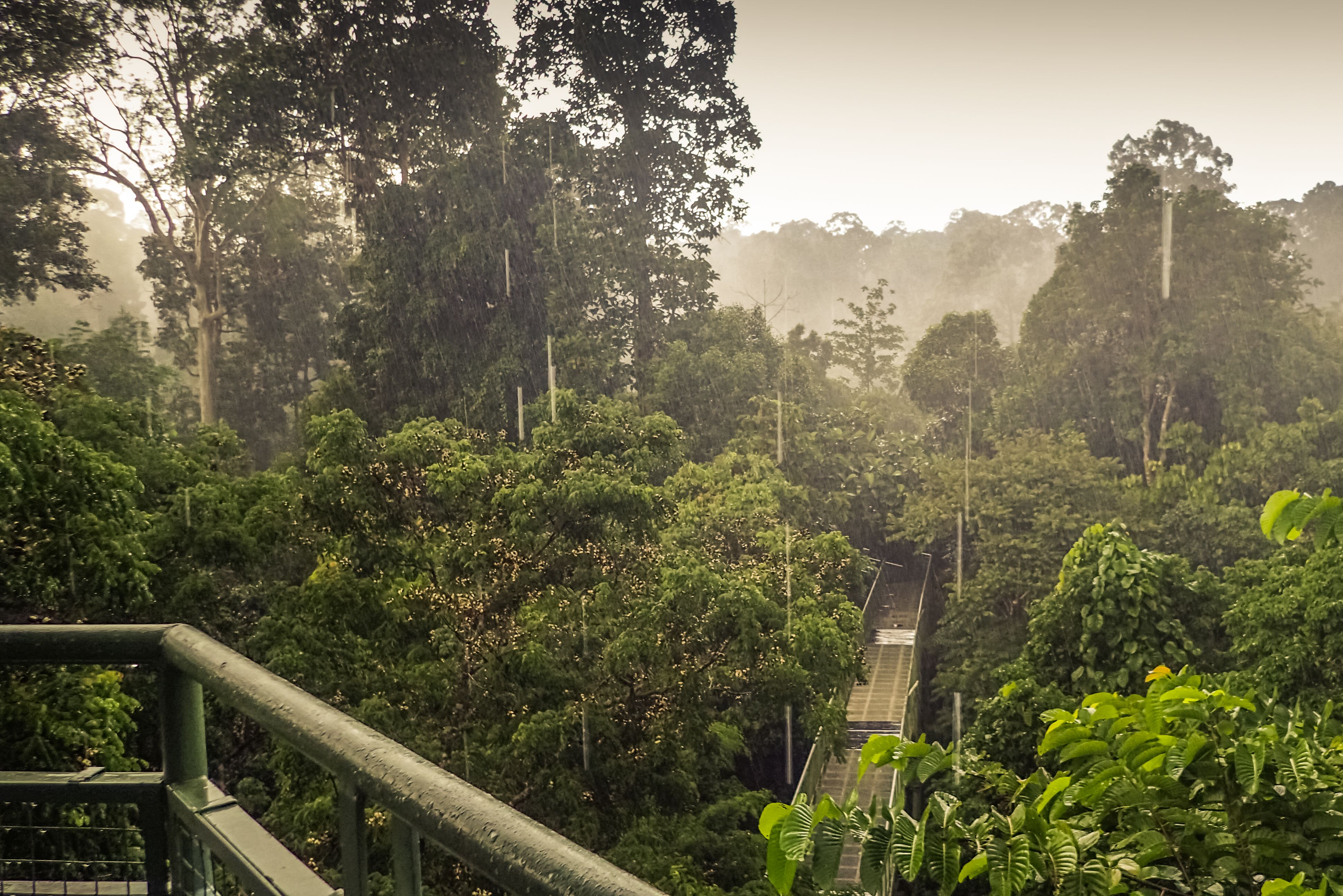 Sandakan Borneo Discovery Center
