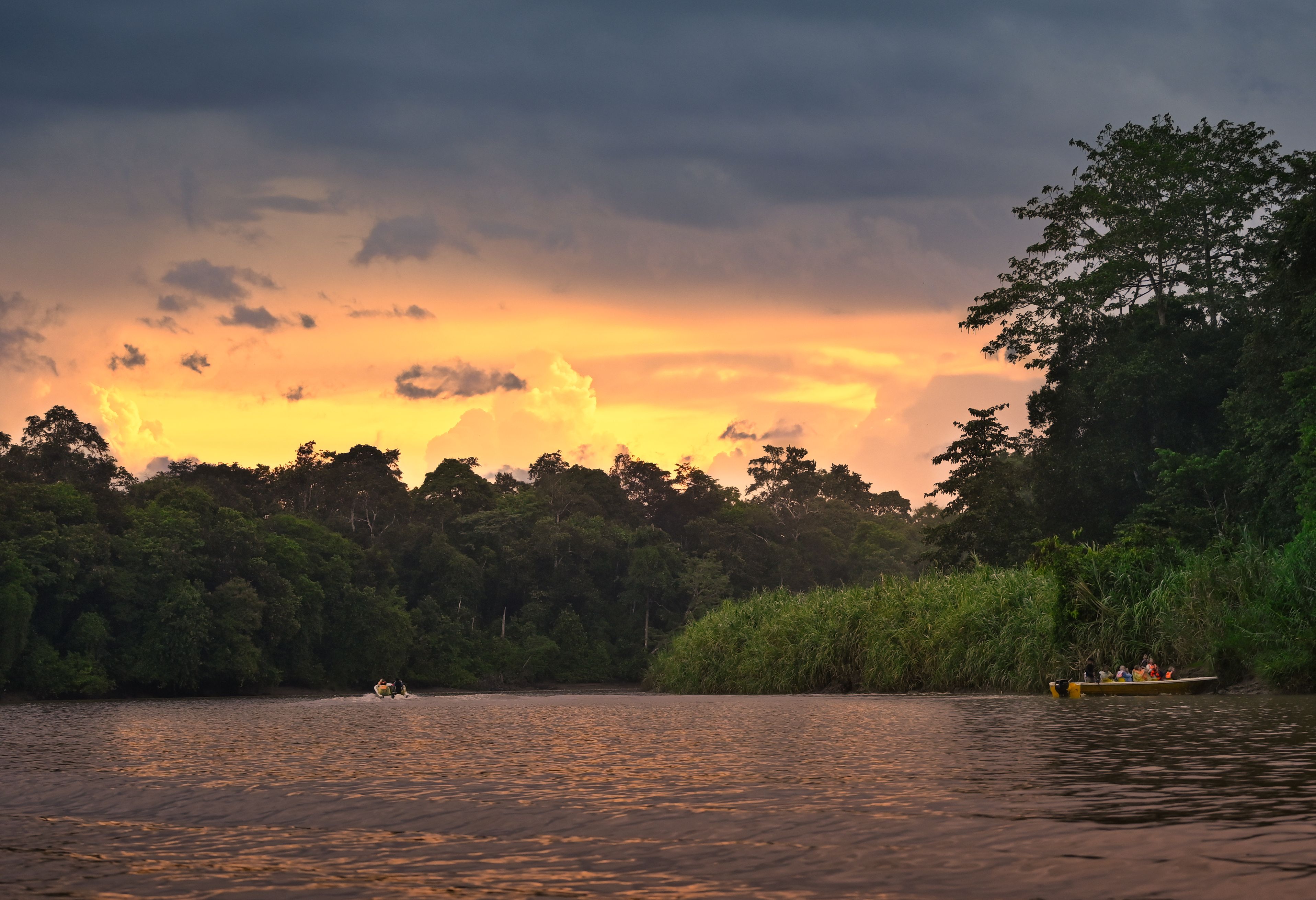 Boottochtje Sukau Kinabatangan
