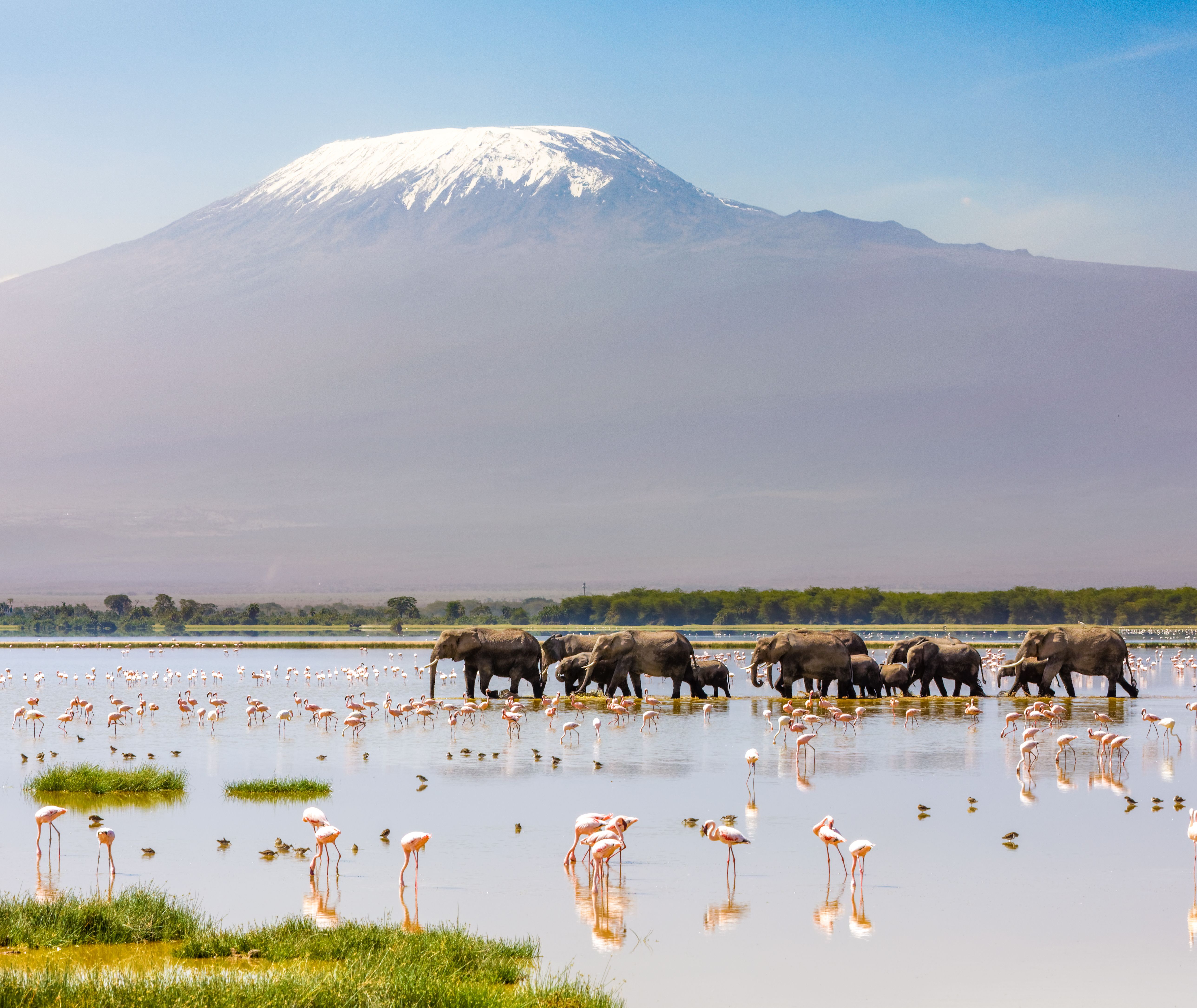 Kenia-Amboseli-National-Park-olifanten-in-meer