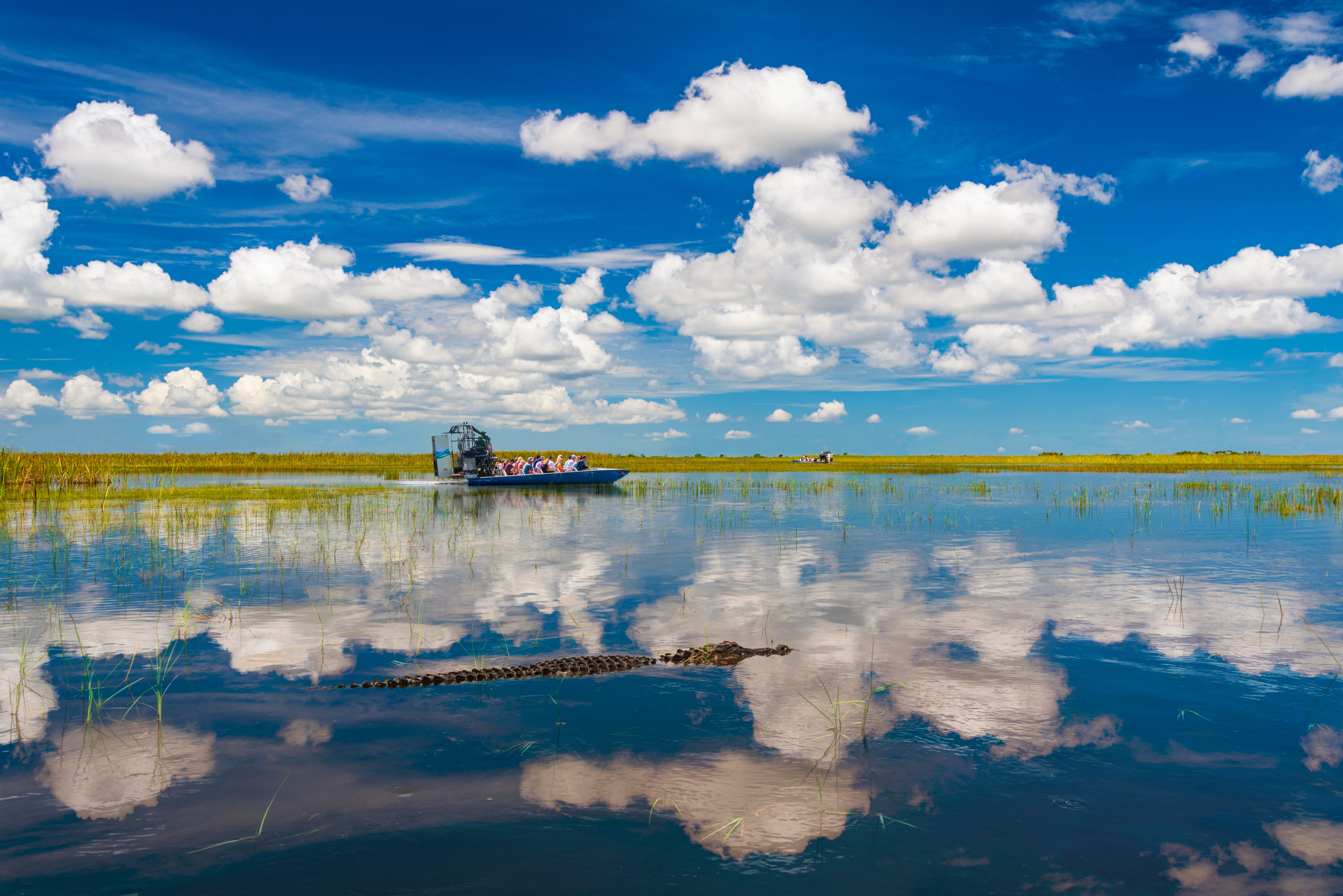 Amerika Everglades Florida