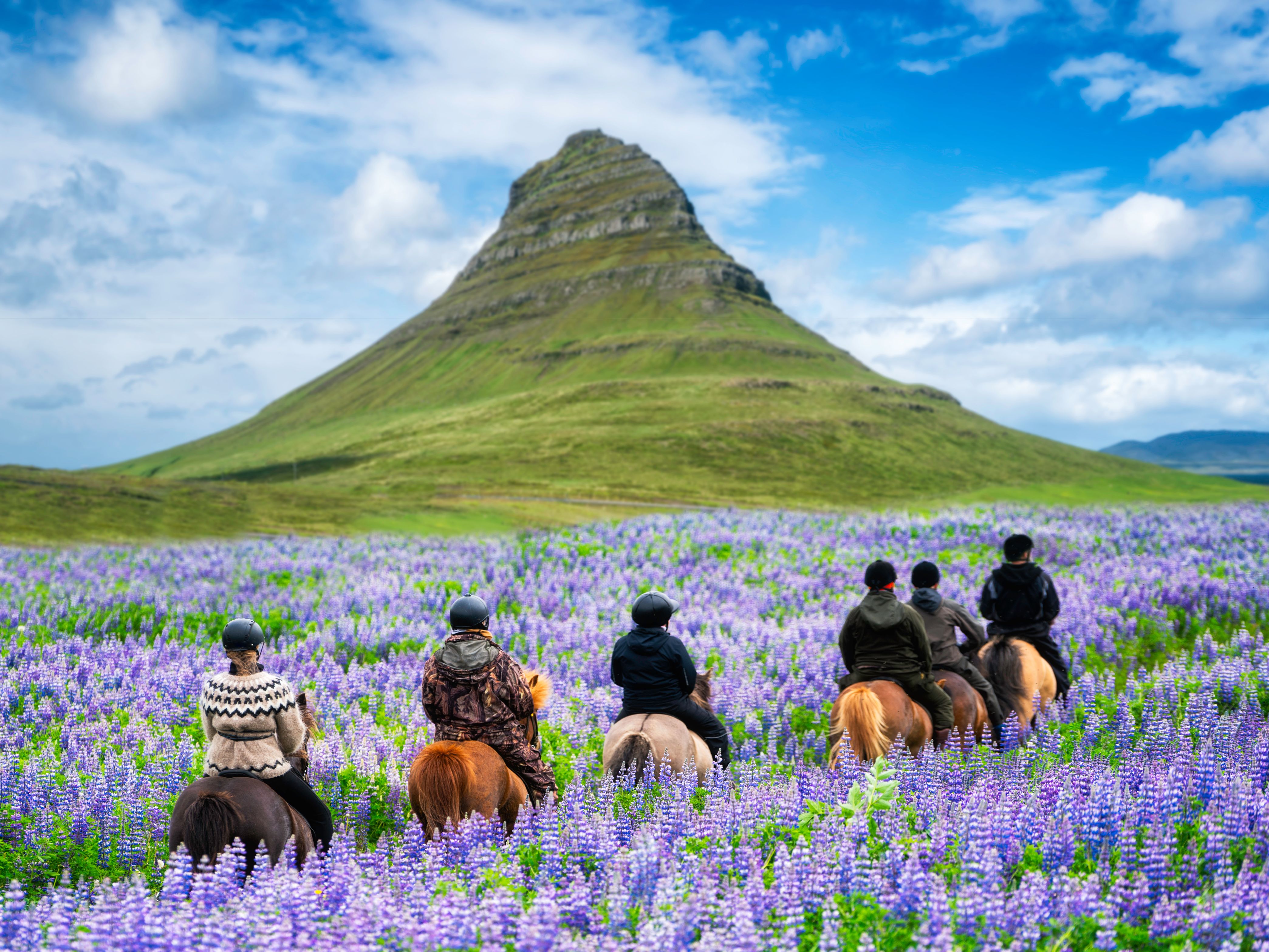 IJsland-Kirkjufell-Berg-Paardrijden