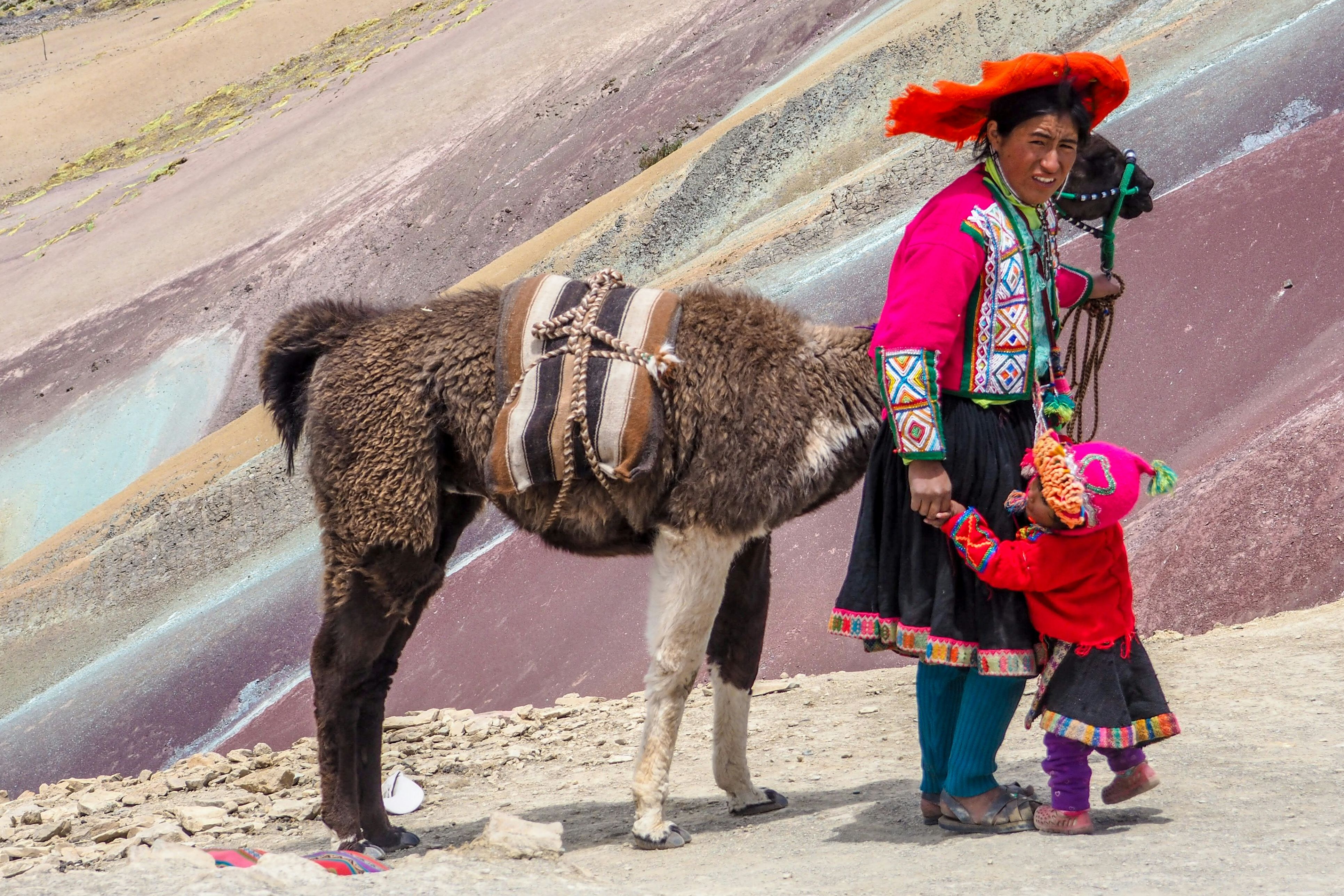 Man in kleurrijke kleding met lama