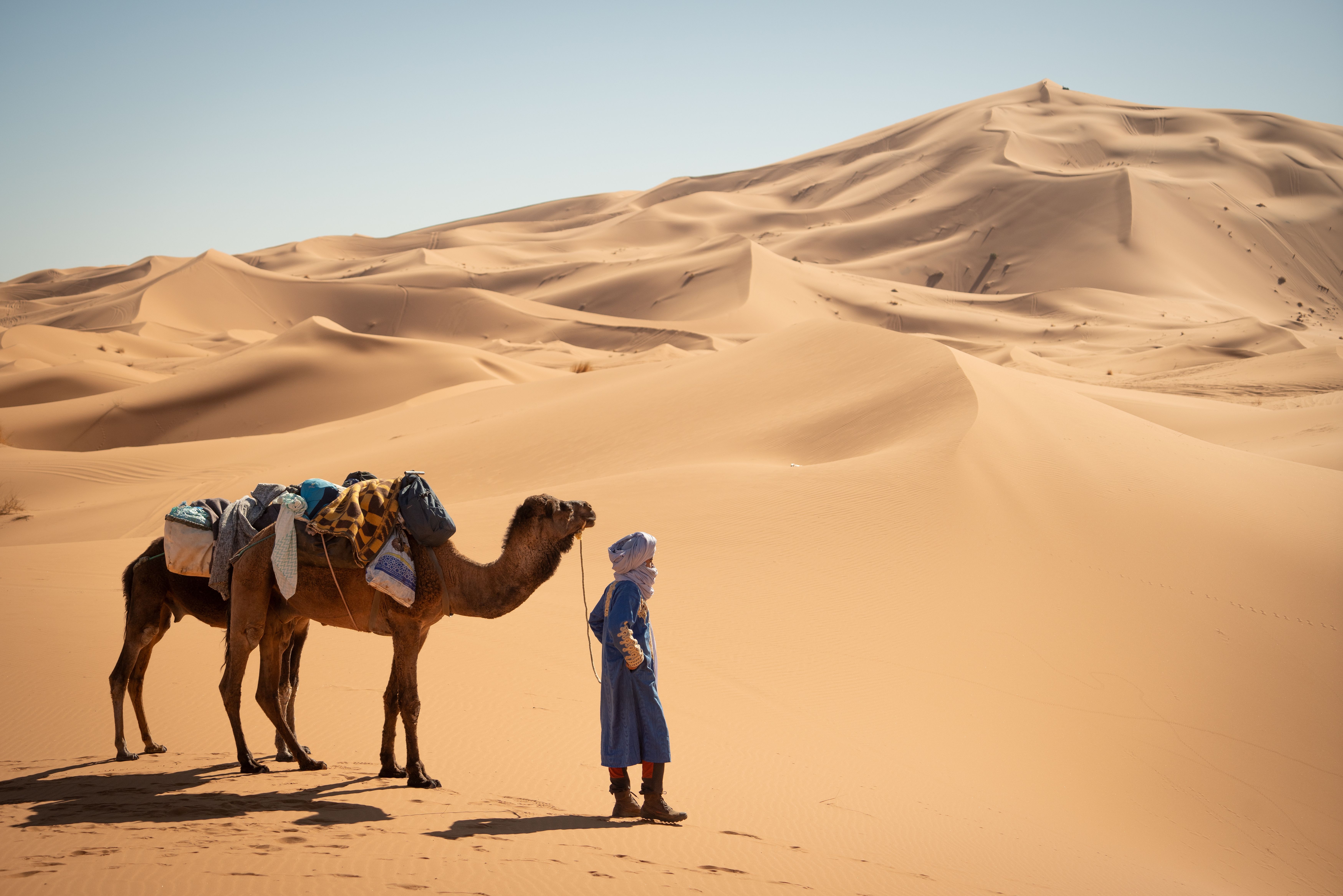 Marokko-saharah-woestijn-kameel-berber