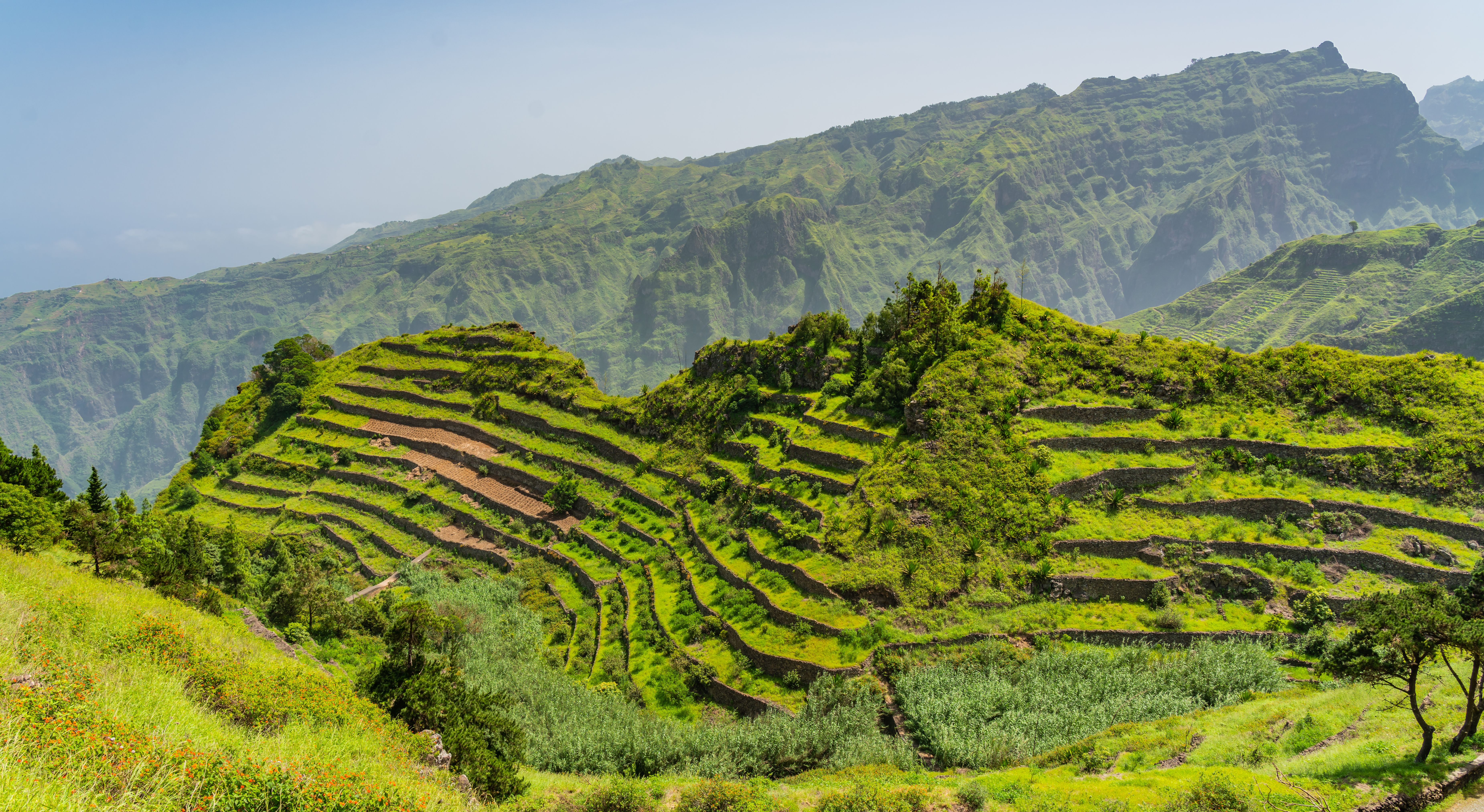 Kaapverdie-Santo-Antao-groene-terrassen-