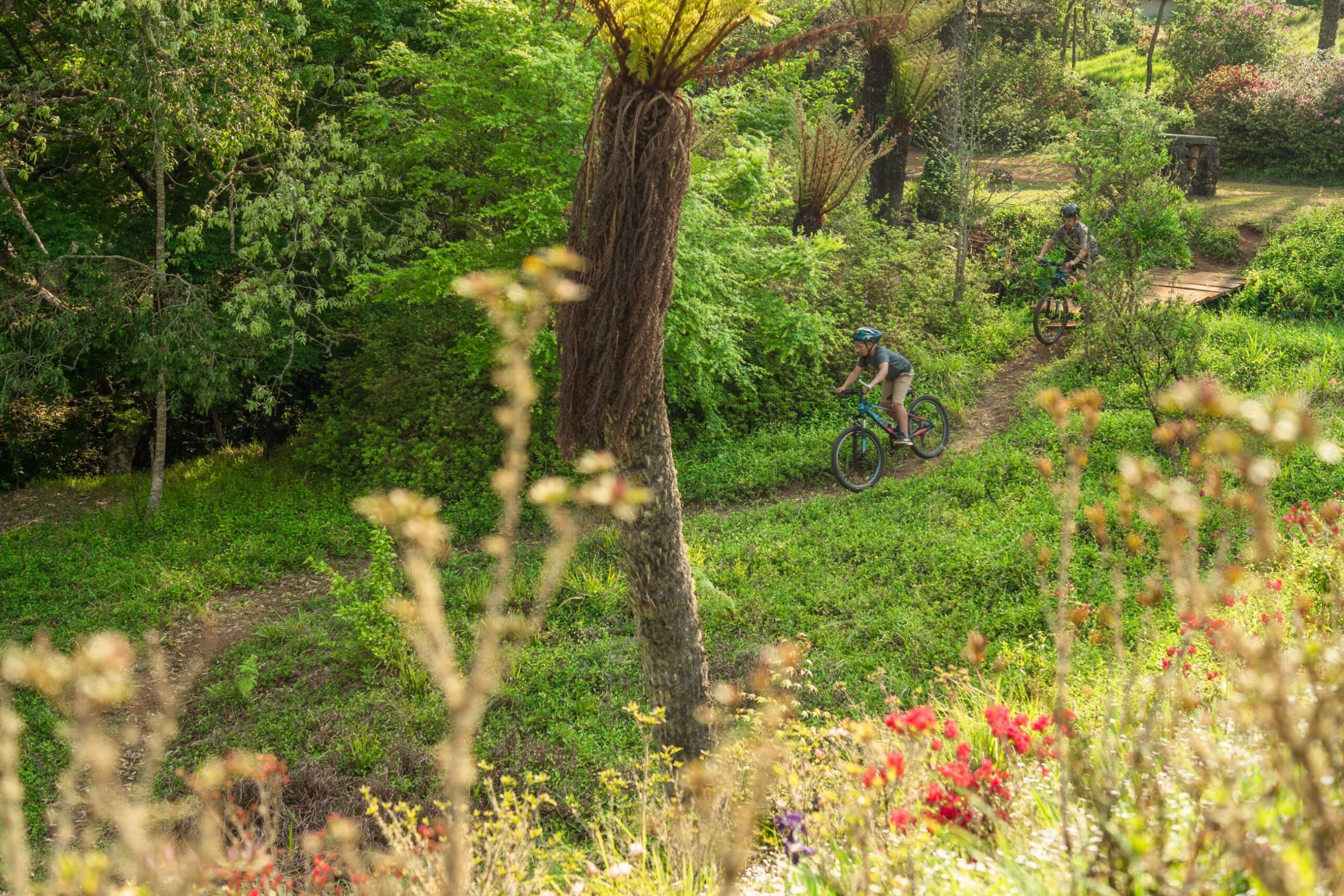 Fietsen in de omgeving