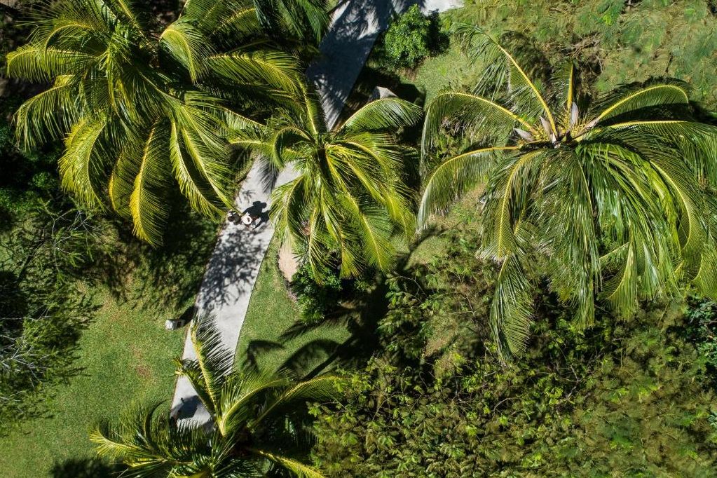 Mauritius Solana Beach Resort Tuin