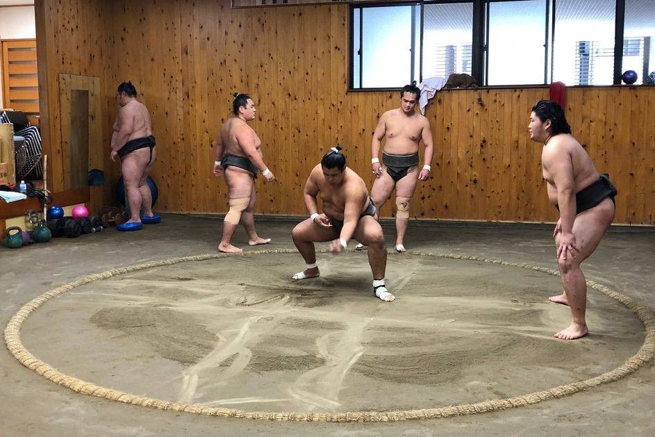Sumo training