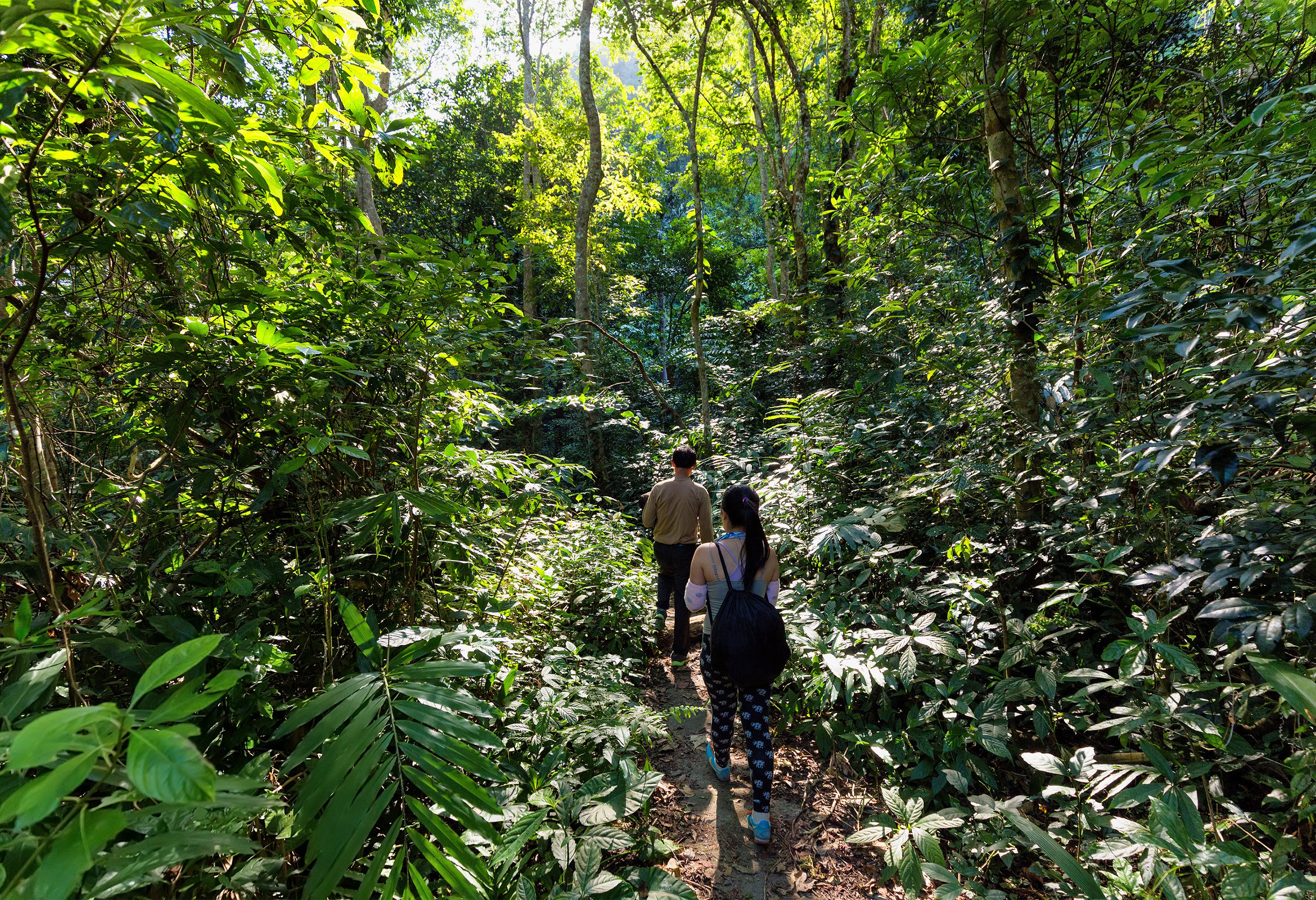 Trekking in de jungle van Cat Ba Island in Vietnam