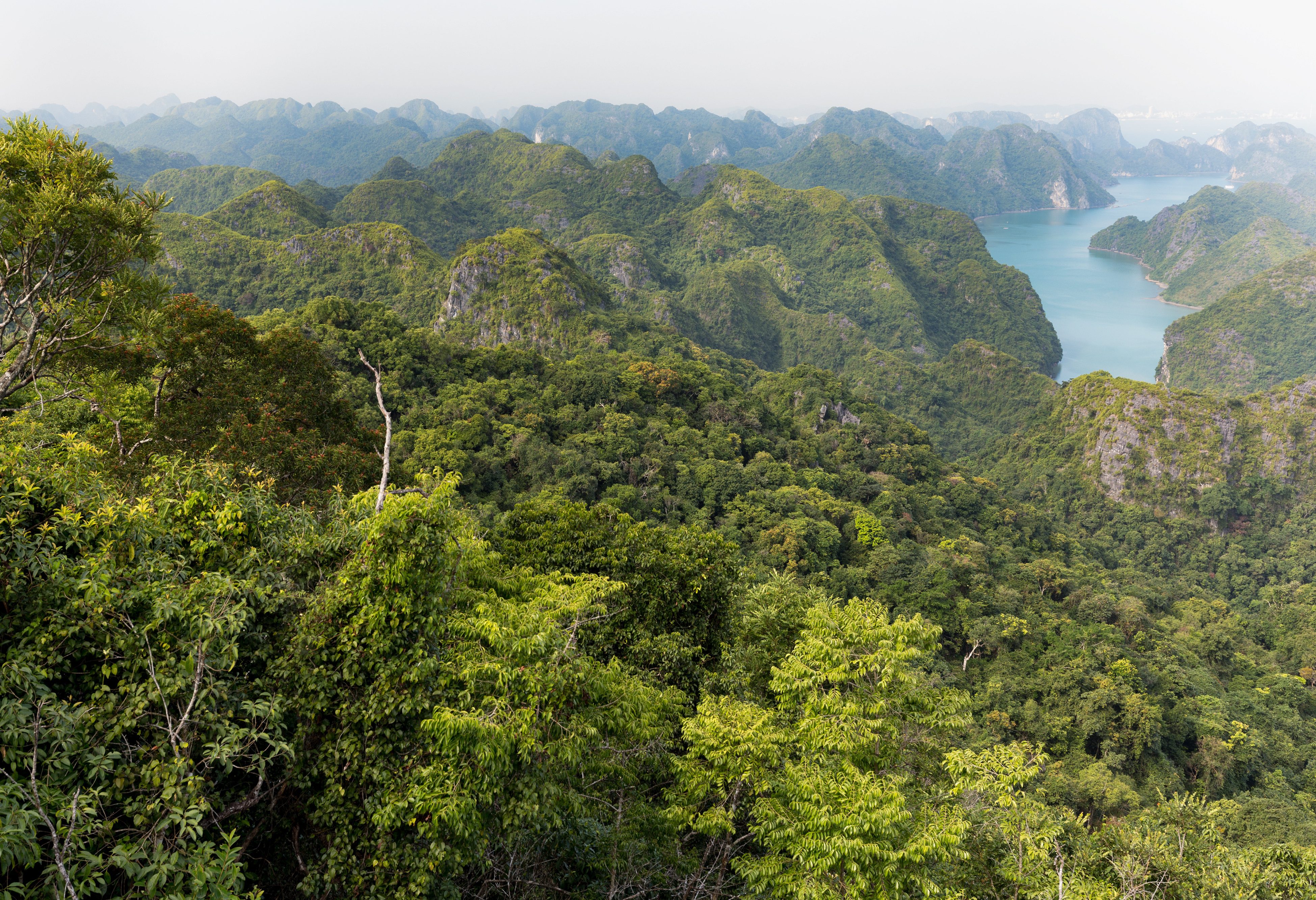 Uitzicht over Cat Ba Island in Vietnam