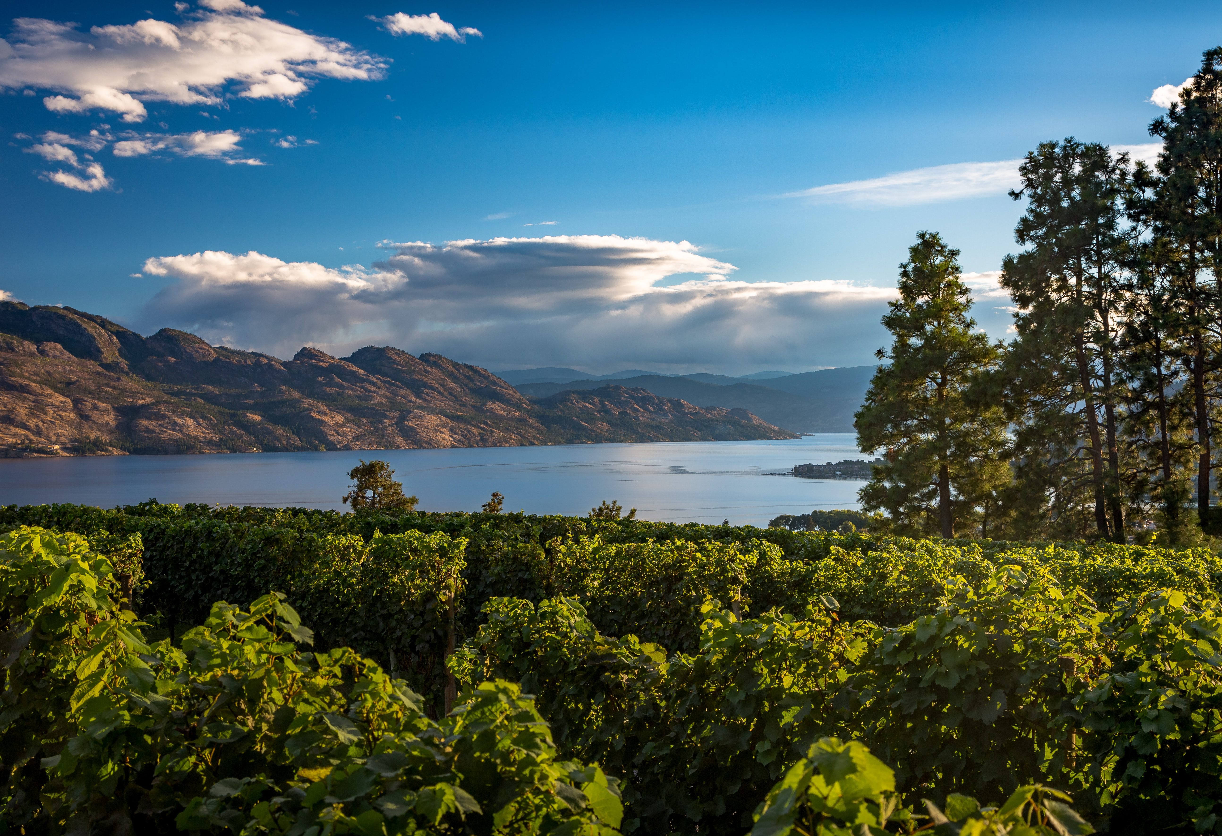 Okanagan Valley Canada
