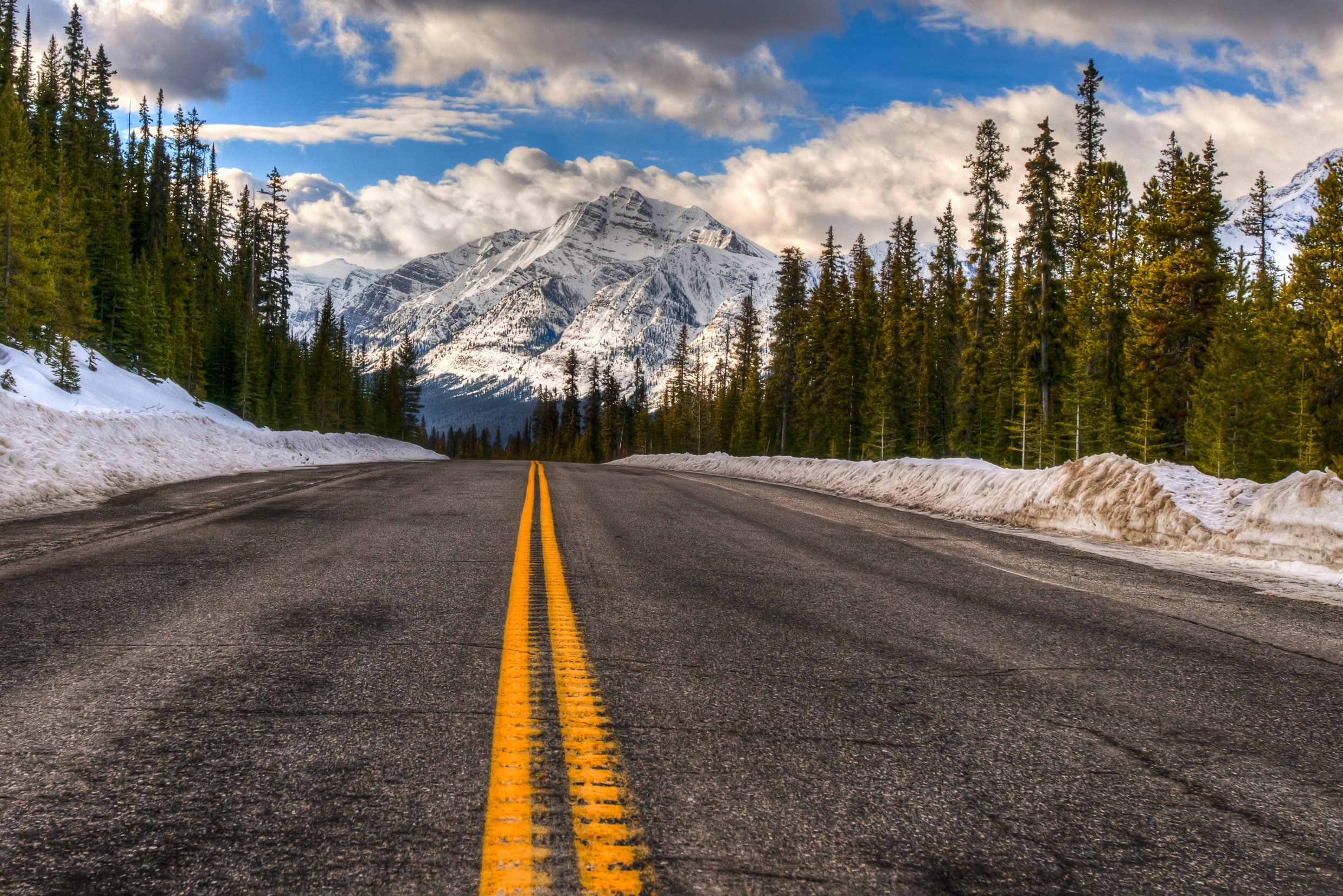 Icefield Parkway door de Rocky Mountains