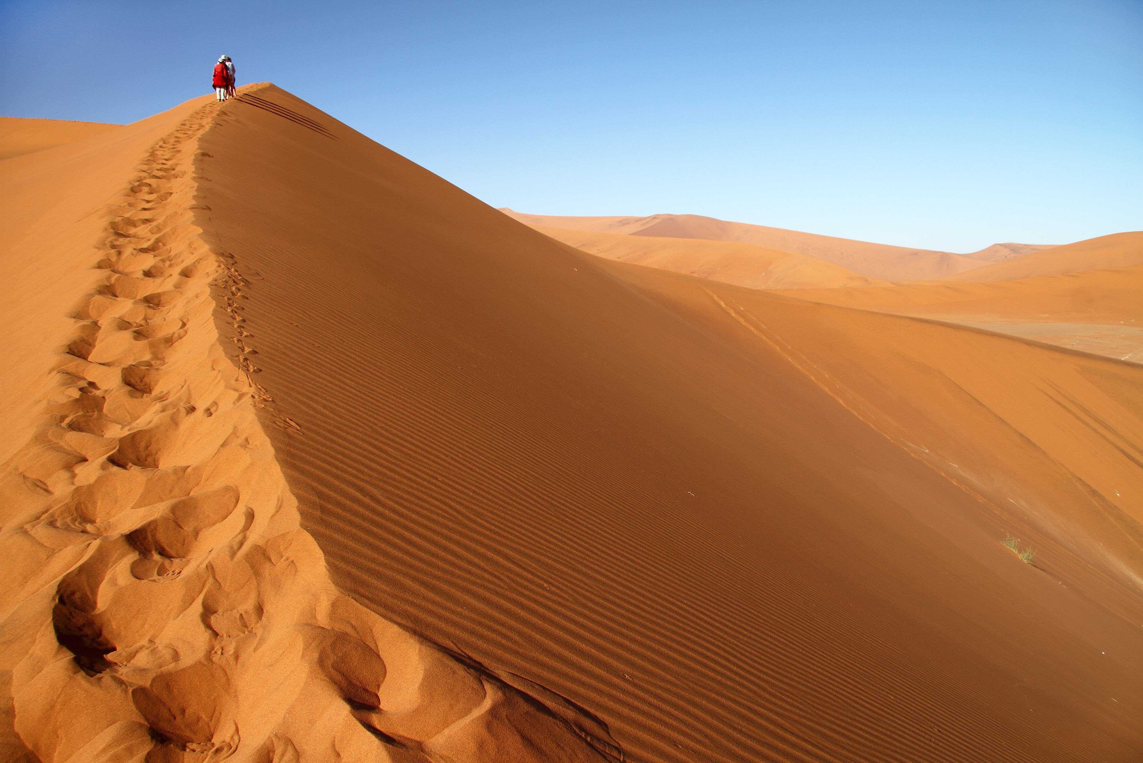 Dune 45 in Sossusvlei in Namibië