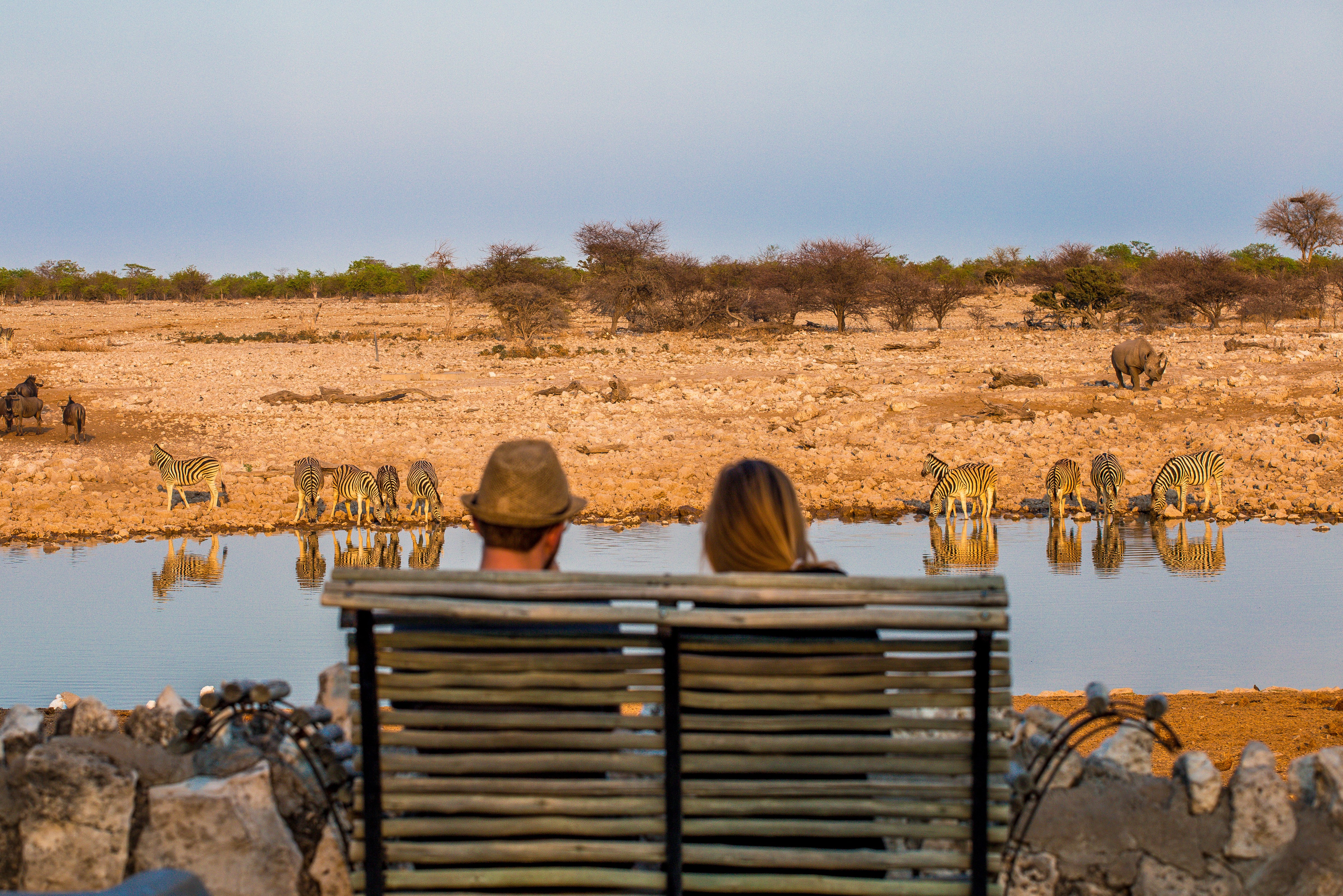 Waterplaats Etosha in Namibië