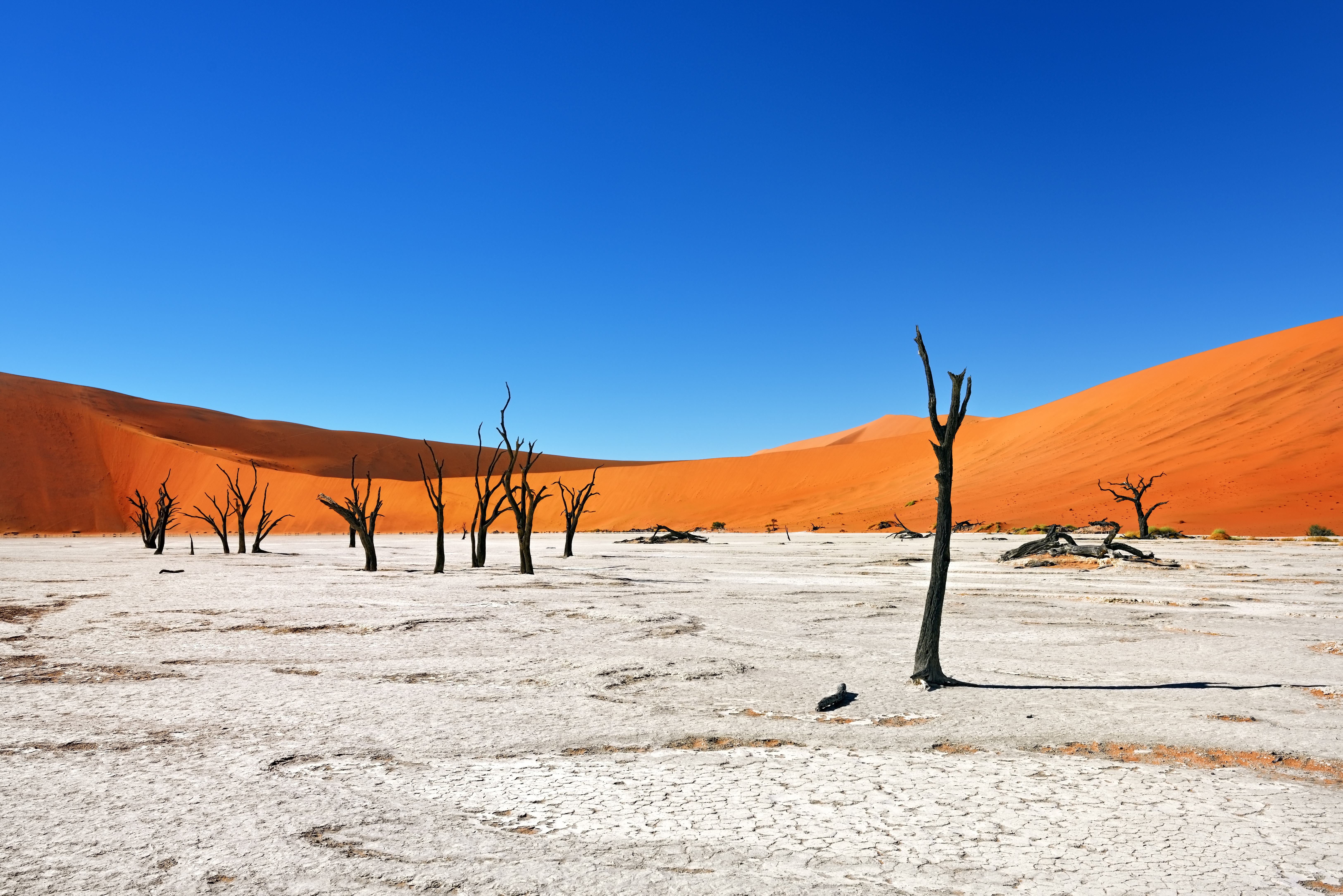 Deadvlei in Namibië
