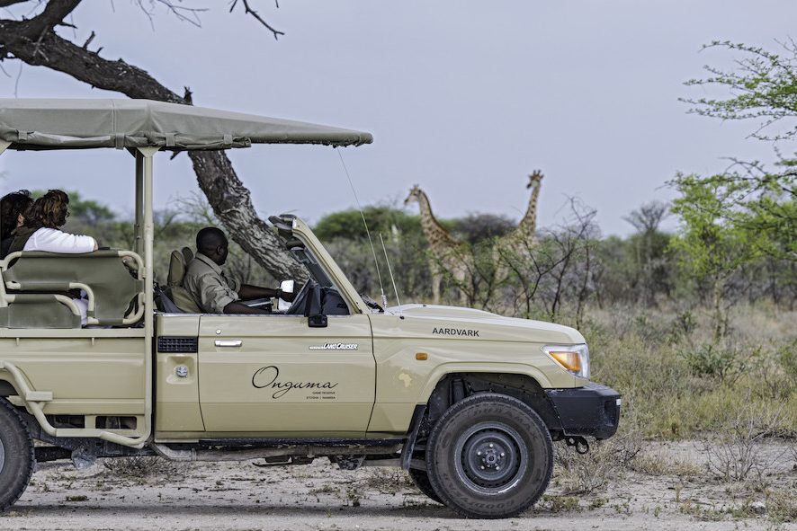 Game drive in Etosha in Namibië