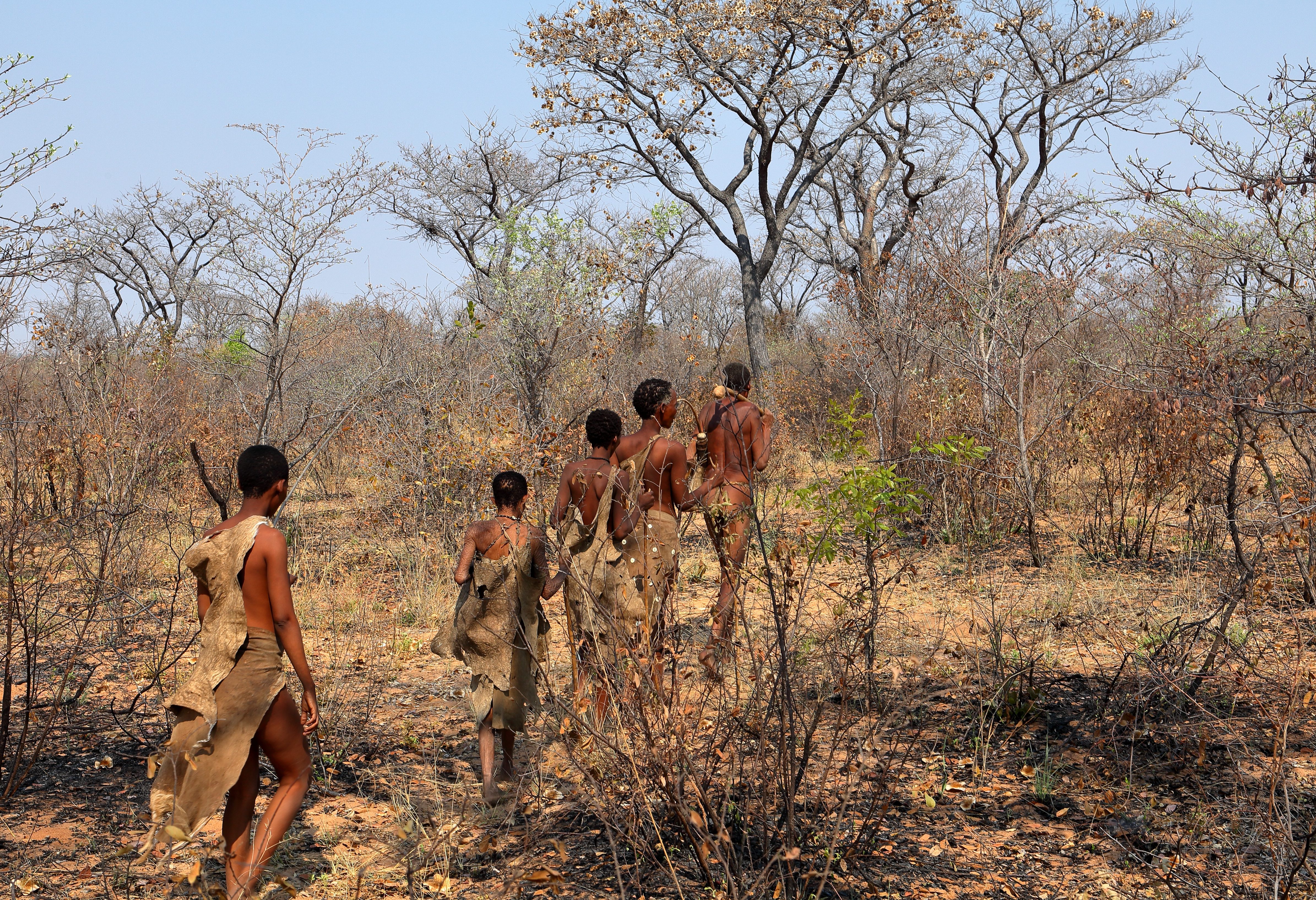Bosjesmannen/ San bevolking in Namibië
