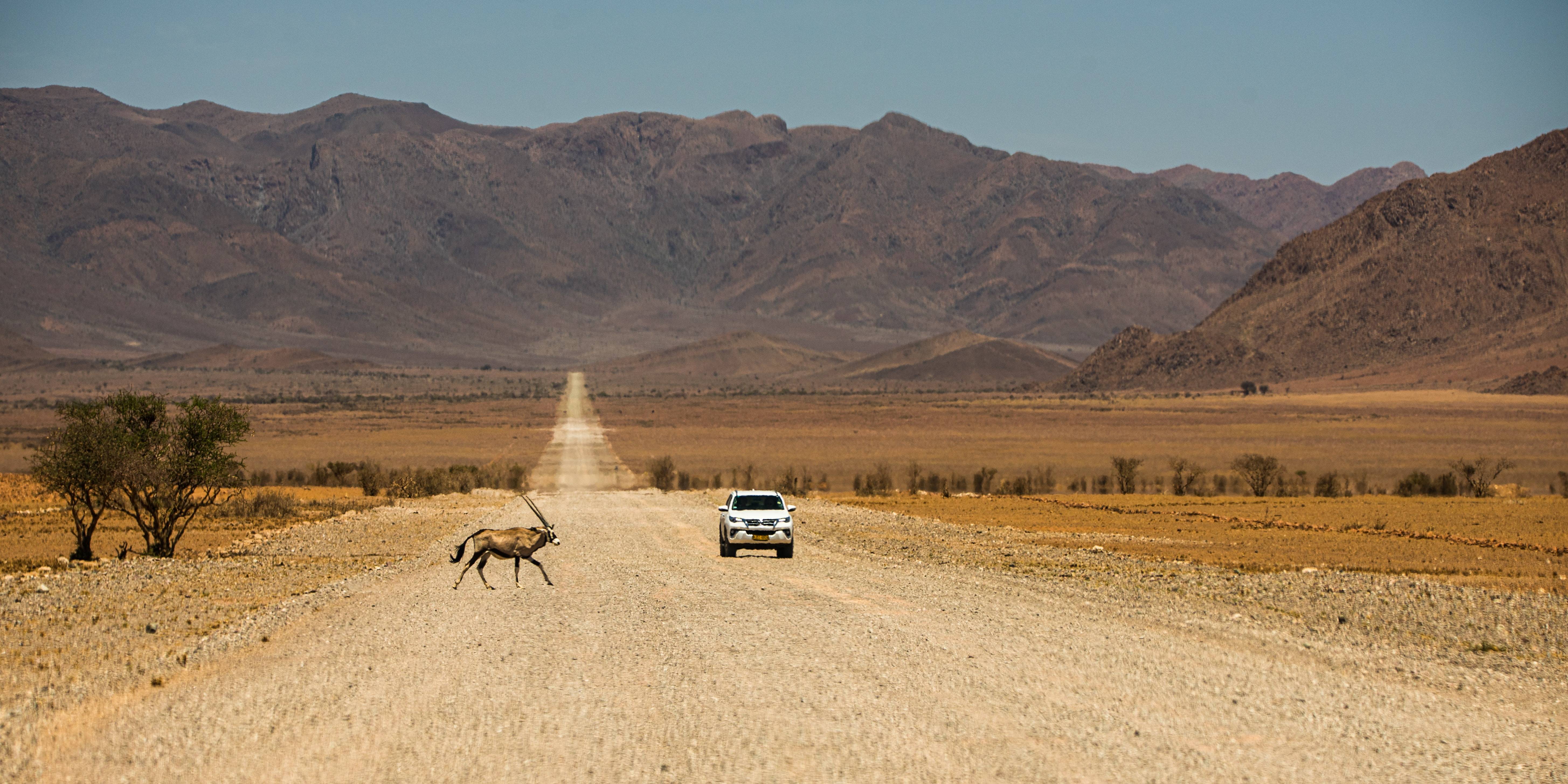 Namibië auto rijden