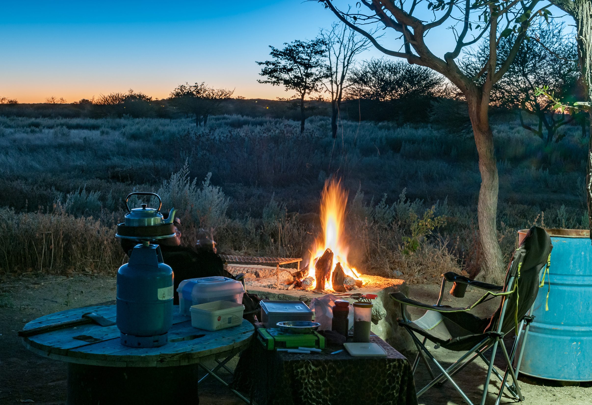 Etosha  in Namibië