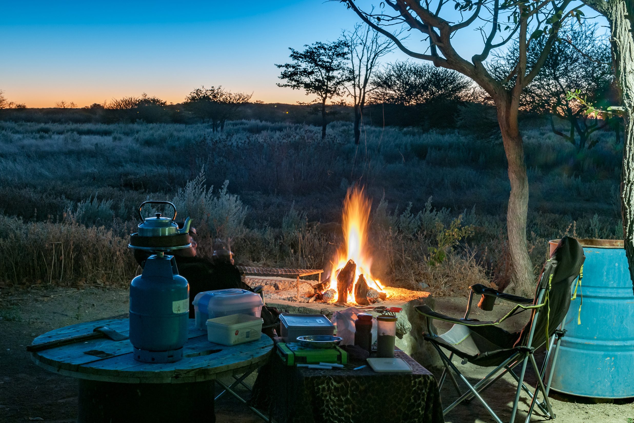 Etosha in Namibië
