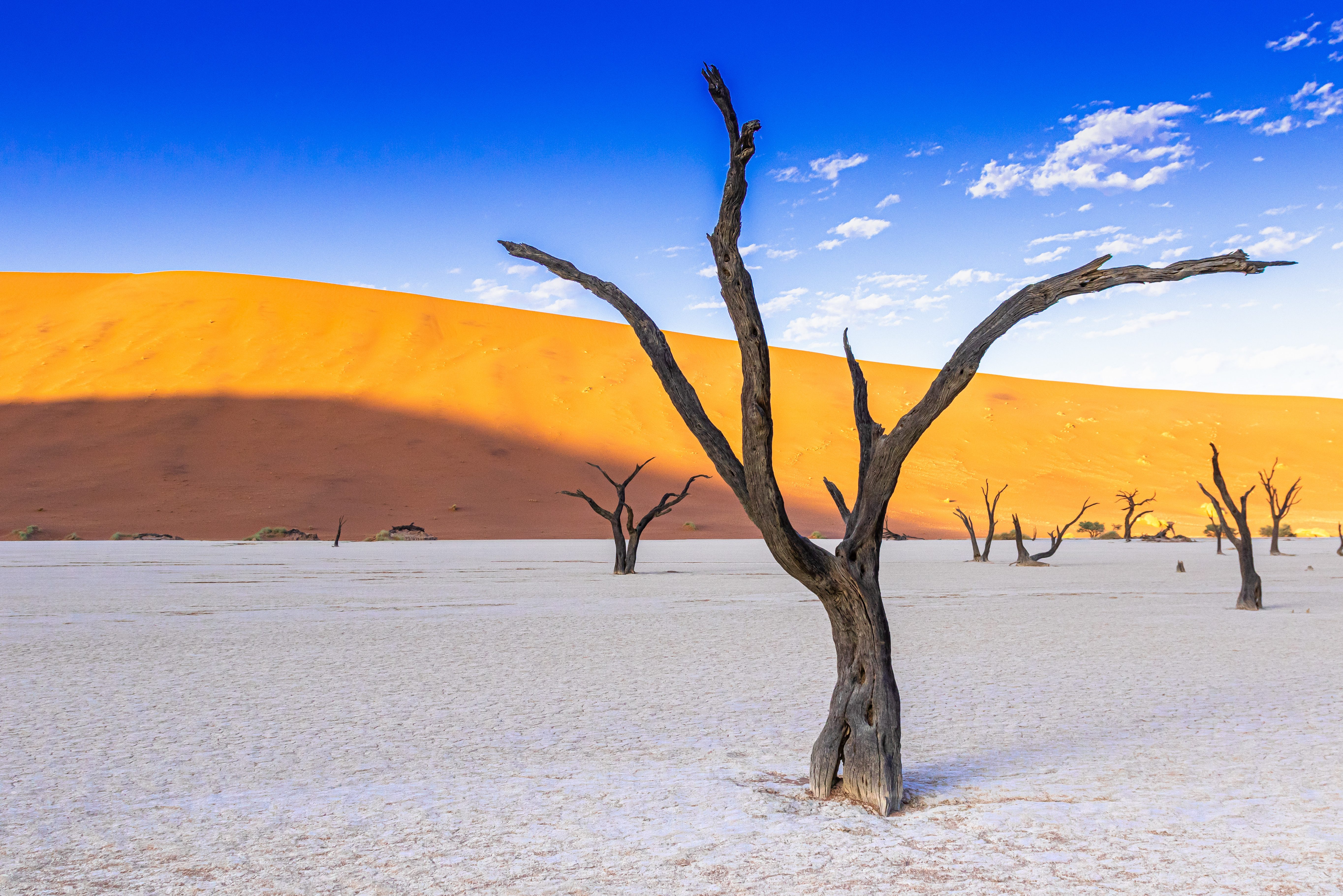 Deadvlei in Namib Desert in Namibië