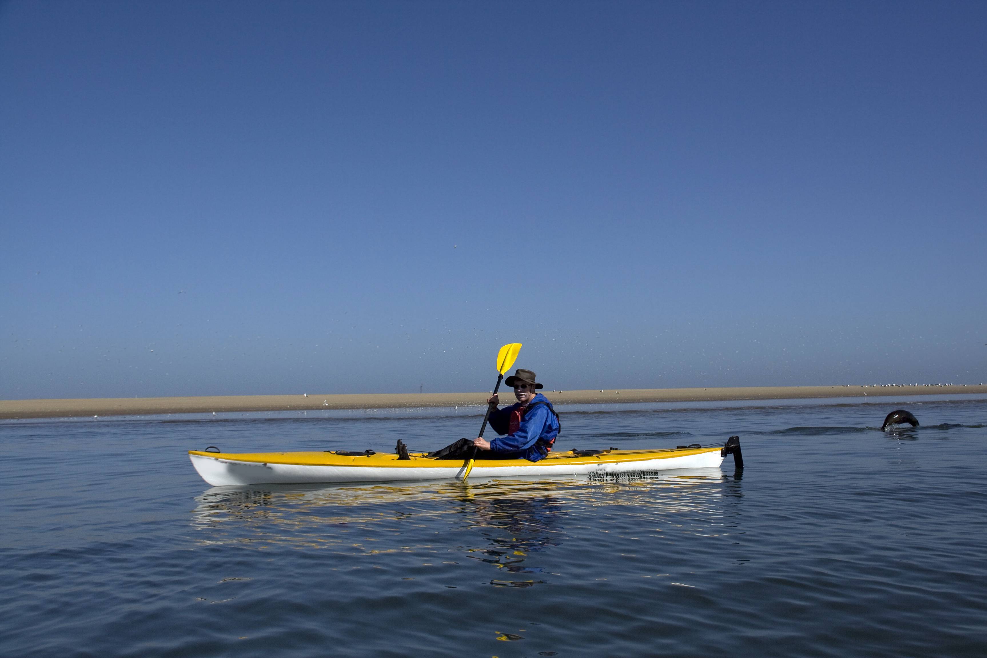 Kajakken tussen zeehonden bij Walvis Bay in Namibië