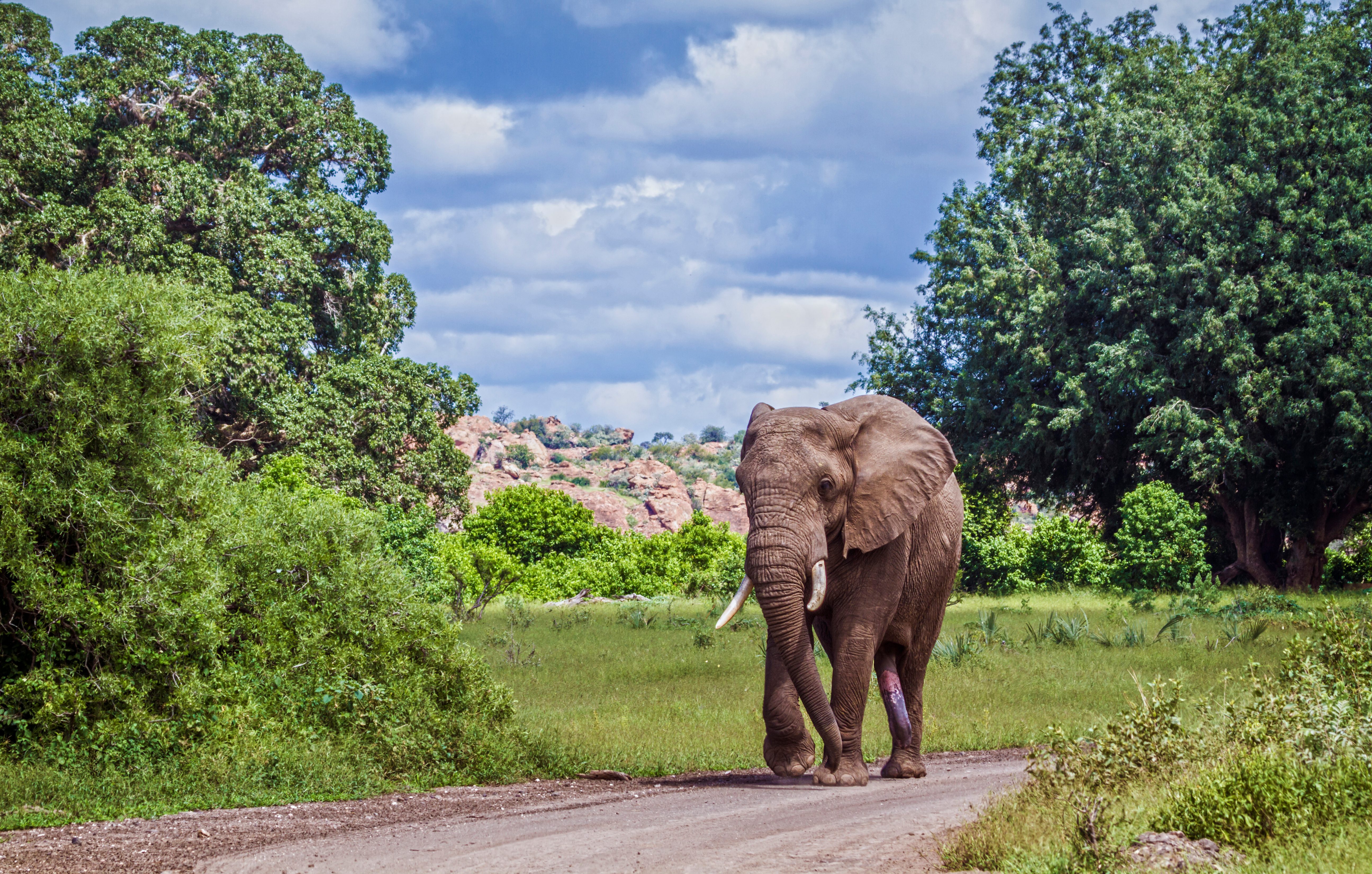 Mapungubwe National Park Limpopo