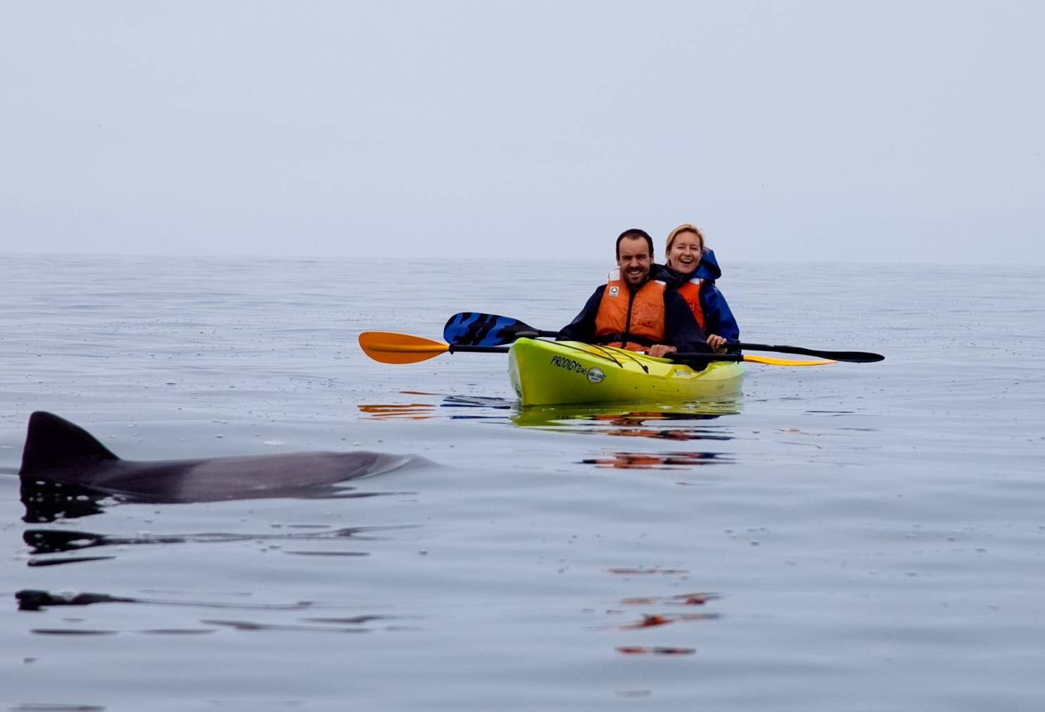 Kajakken in Walvis Bay vanuit Swakopmund in Namibië